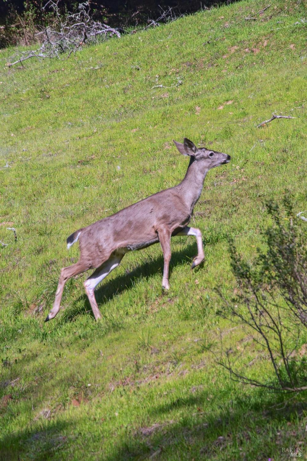 11 Badger Court Novato, CA 94949 - Photo 63 of 63