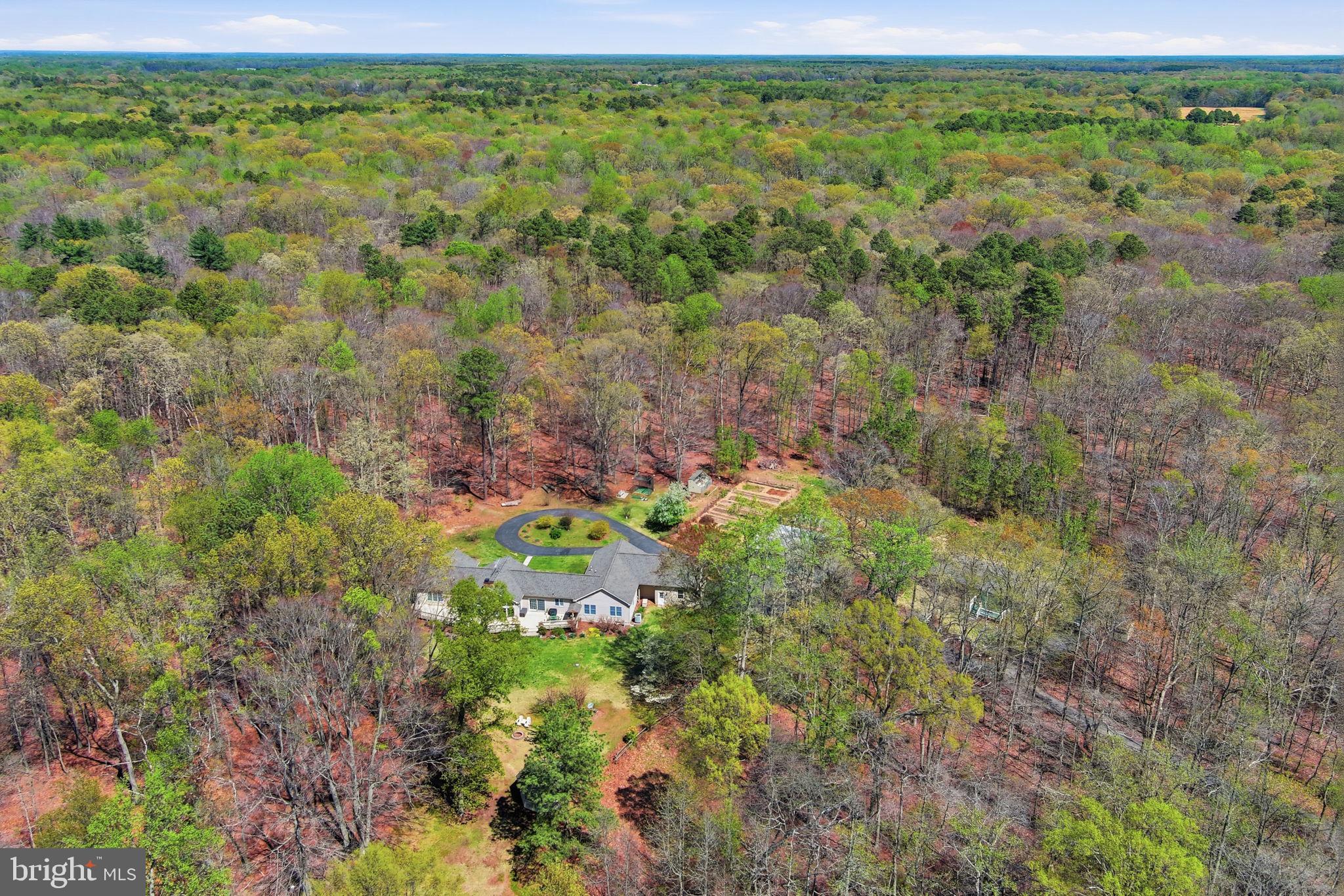 930 Spaniard Neck Road Centreville, MD 21617 - Photo 11 of 91 Secluded retreat amidst lush greenery.