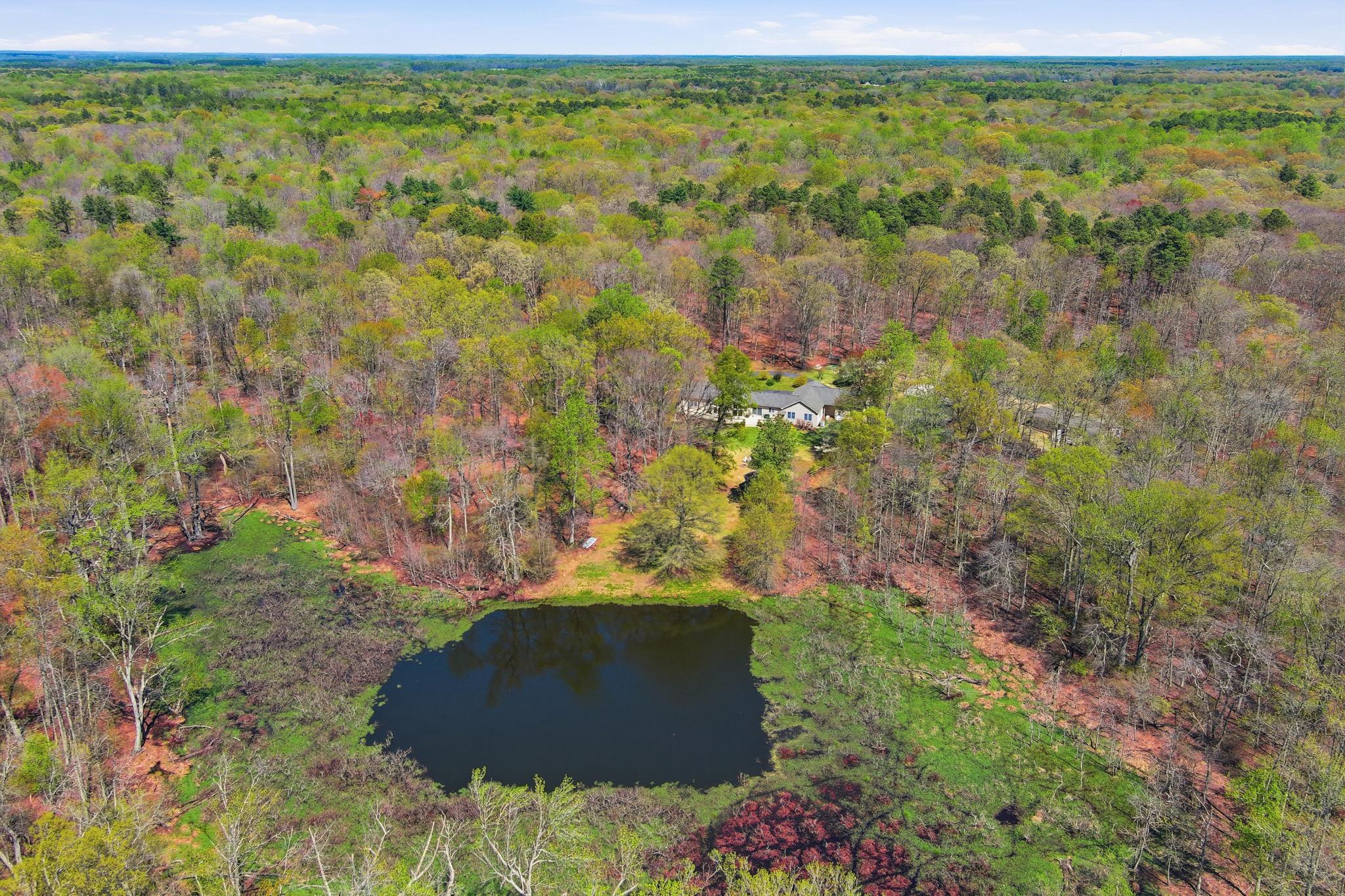 930 Spaniard Neck Road Centreville, MD 21617 - Photo 12 of 91 Private Pond surrounded by lush greenery.