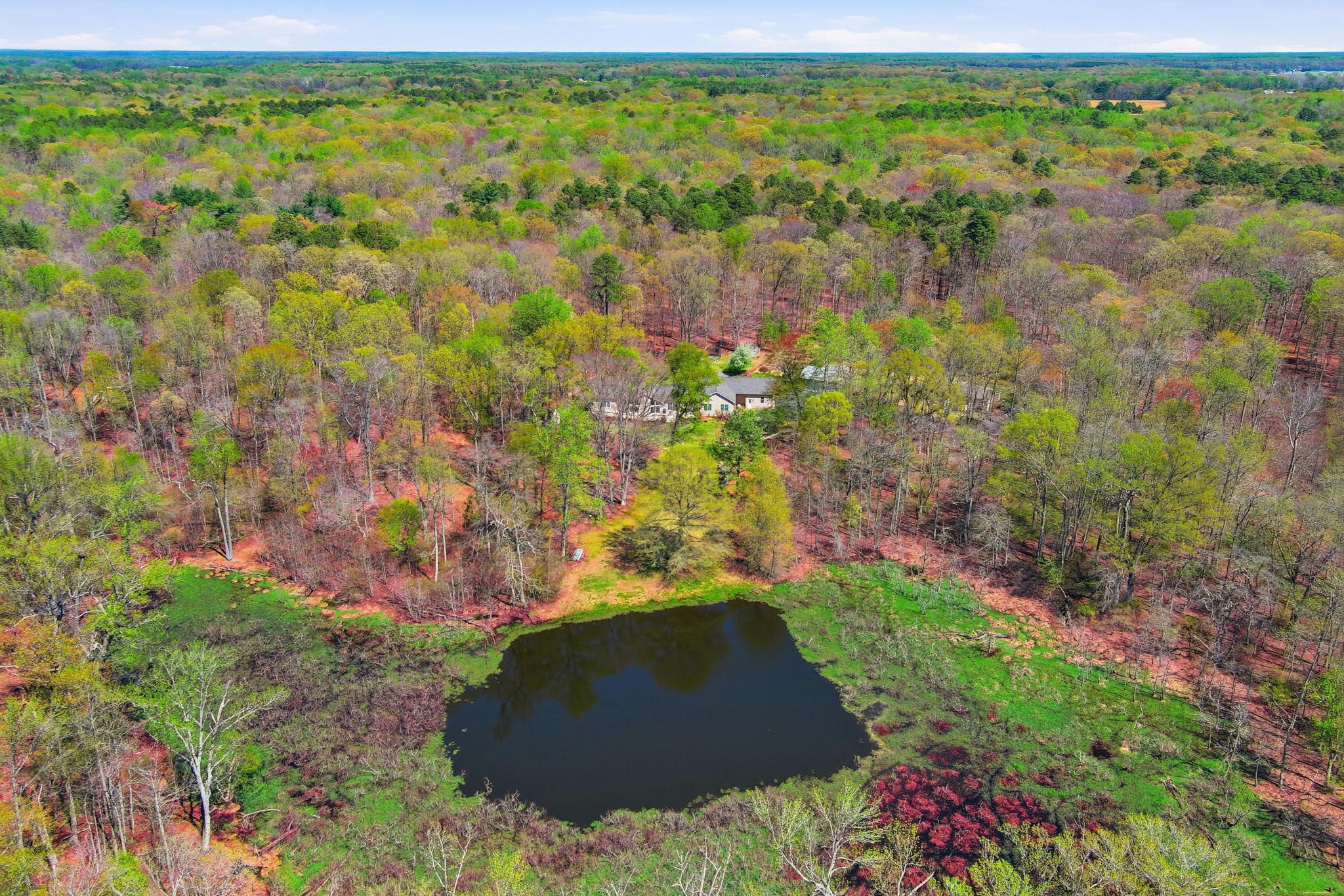 930 Spaniard Neck Road Centreville, MD 21617 - Photo 13 of 91 Private Pond surrounded by lush greenery.
