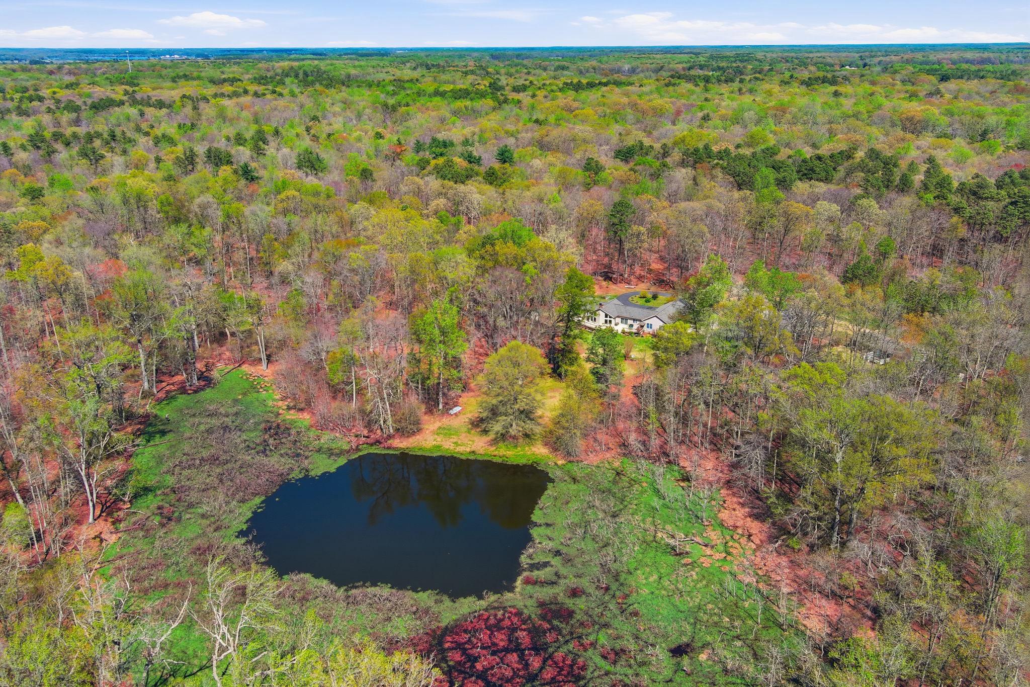 930 Spaniard Neck Road Centreville, MD 21617 - Photo 14 of 91 Private Pond surrounded by lush greenery.