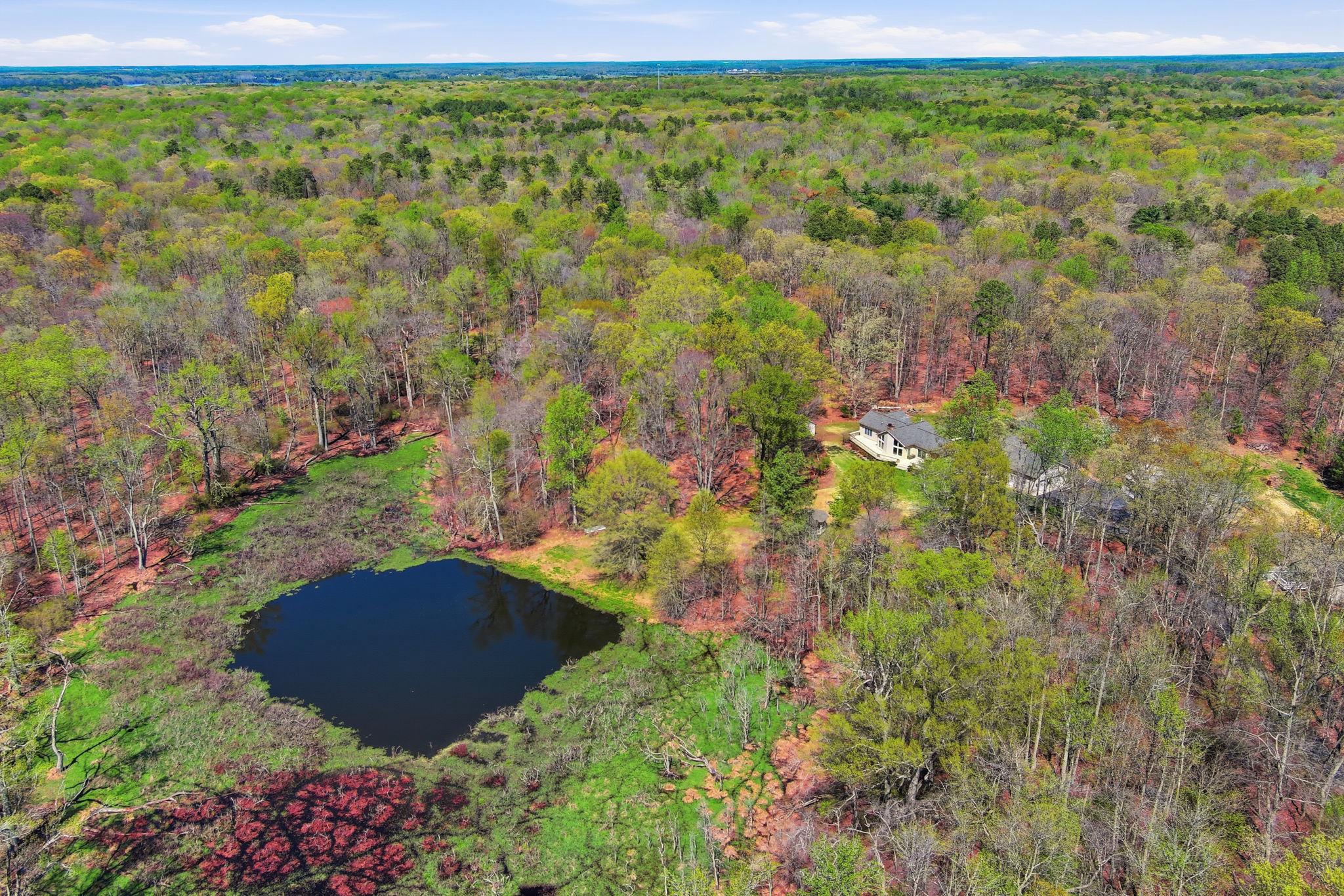 930 Spaniard Neck Road Centreville, MD 21617 - Photo 15 of 91 Private Pond surrounded by lush greenery.