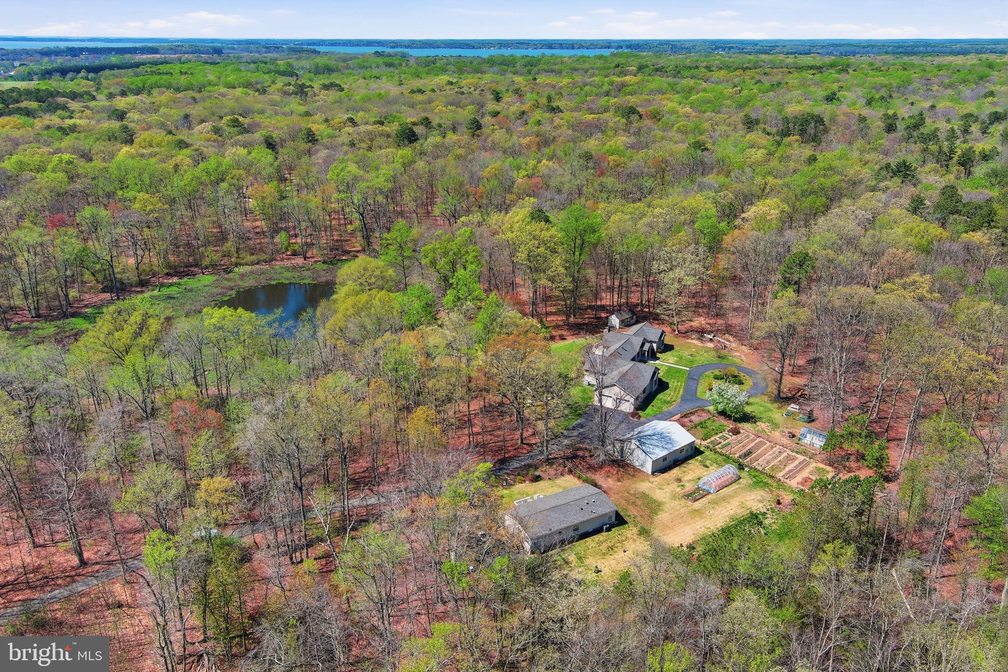930 Spaniard Neck Road Centreville, MD 21617 - Photo 16 of 91 Serene retreat amidst lush greenery.