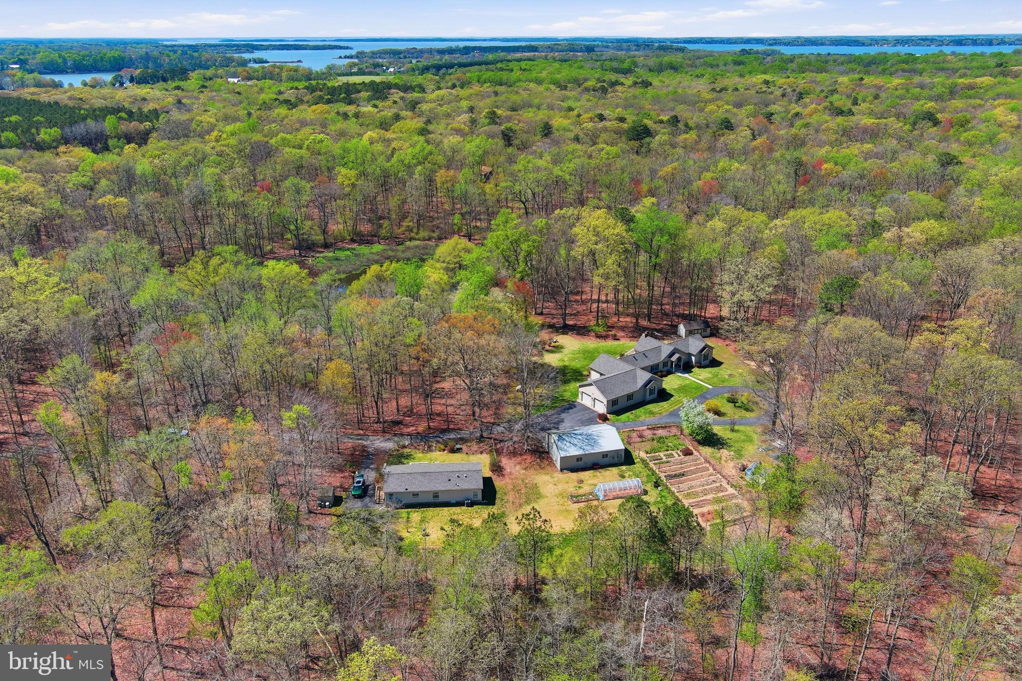 930 Spaniard Neck Road Centreville, MD 21617 - Photo 17 of 91 Secluded retreat amidst lush greenery.
