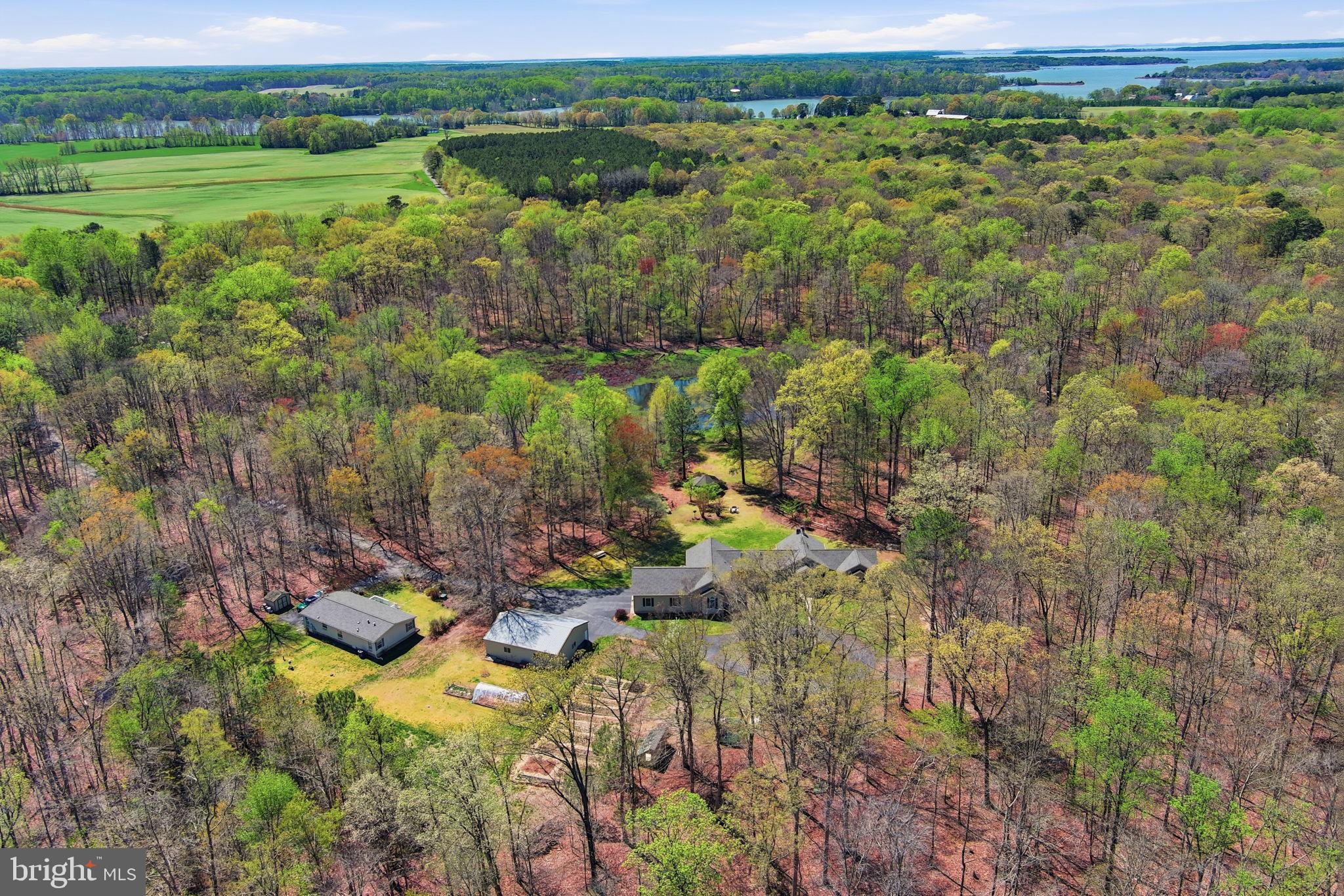 930 Spaniard Neck Road Centreville, MD 21617 - Photo 19 of 91 Serene woodland retreat with open fields.