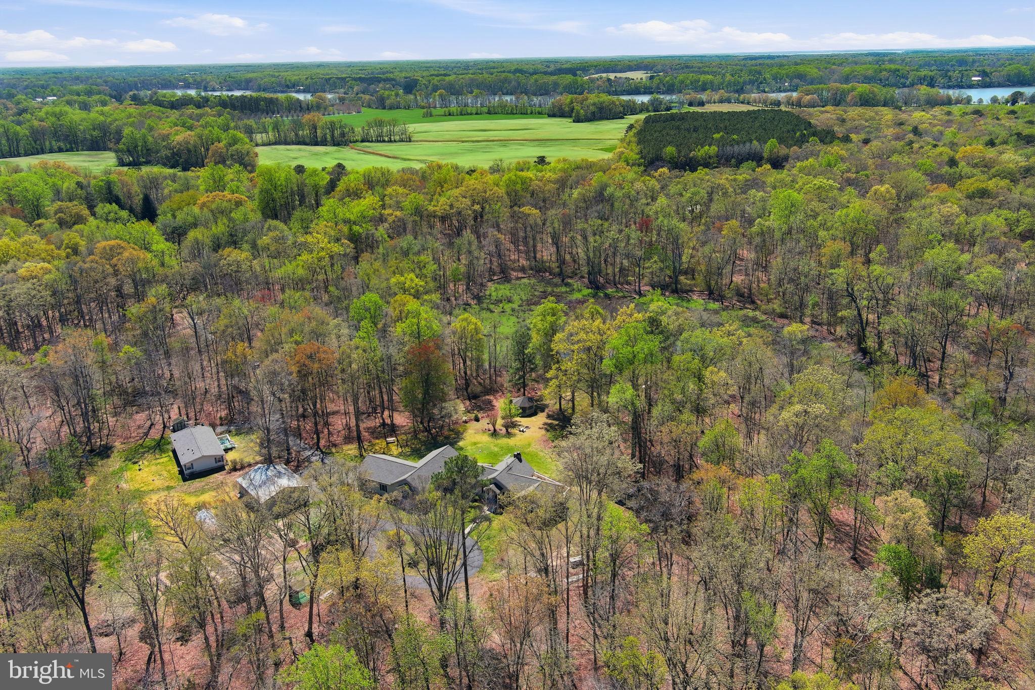 930 Spaniard Neck Road Centreville, MD 21617 - Photo 20 of 91 Serene retreat amid lush greenery.