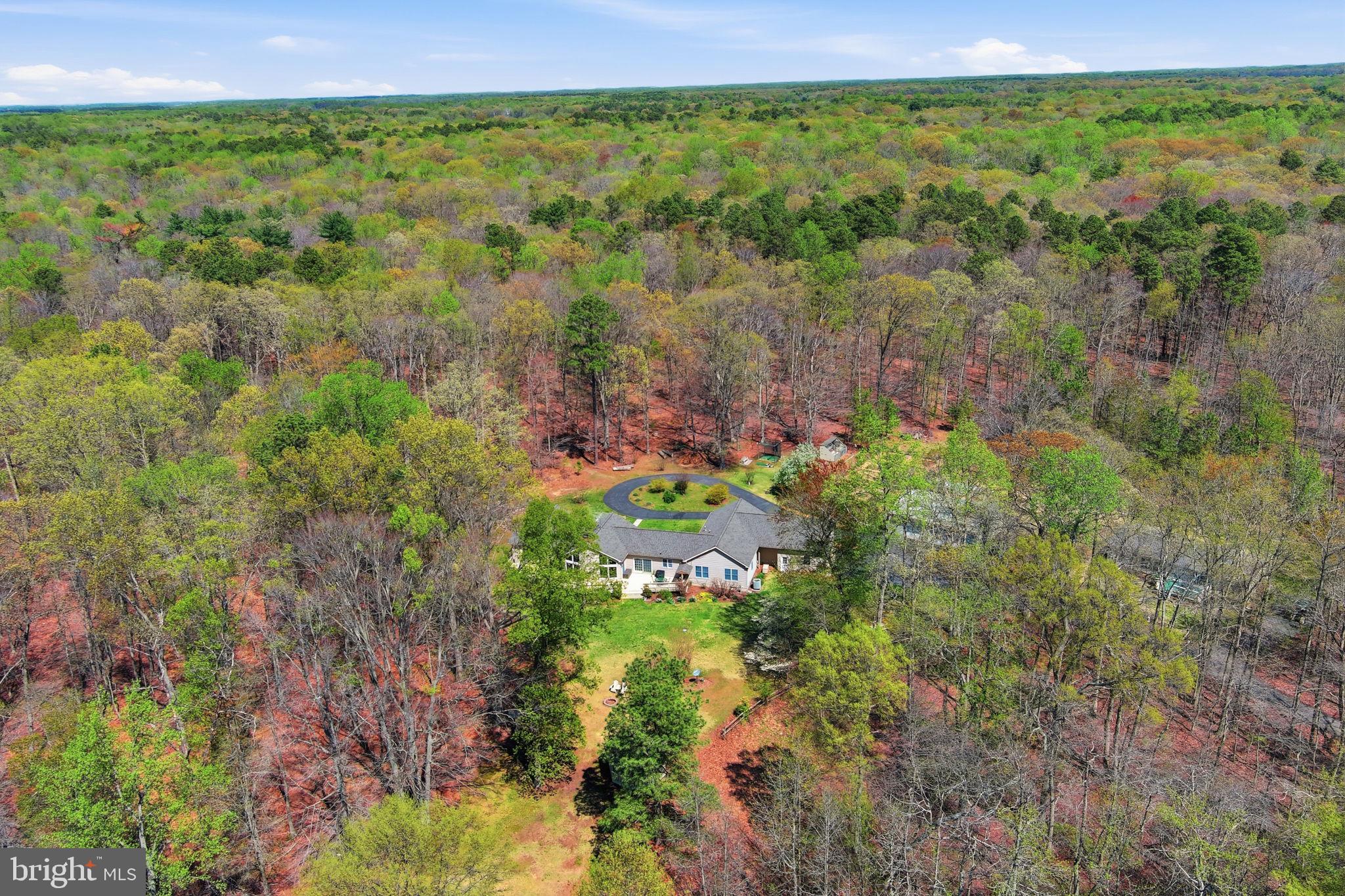 930 Spaniard Neck Road Centreville, MD 21617 - Photo 22 of 91 Secluded retreat amid lush greenery.