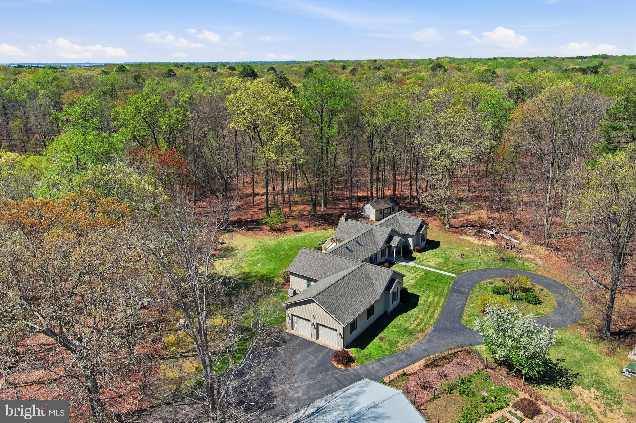930 Spaniard Neck Road Centreville, MD 21617 - Photo 4 of 91 Serene retreat amidst lush greenery.
