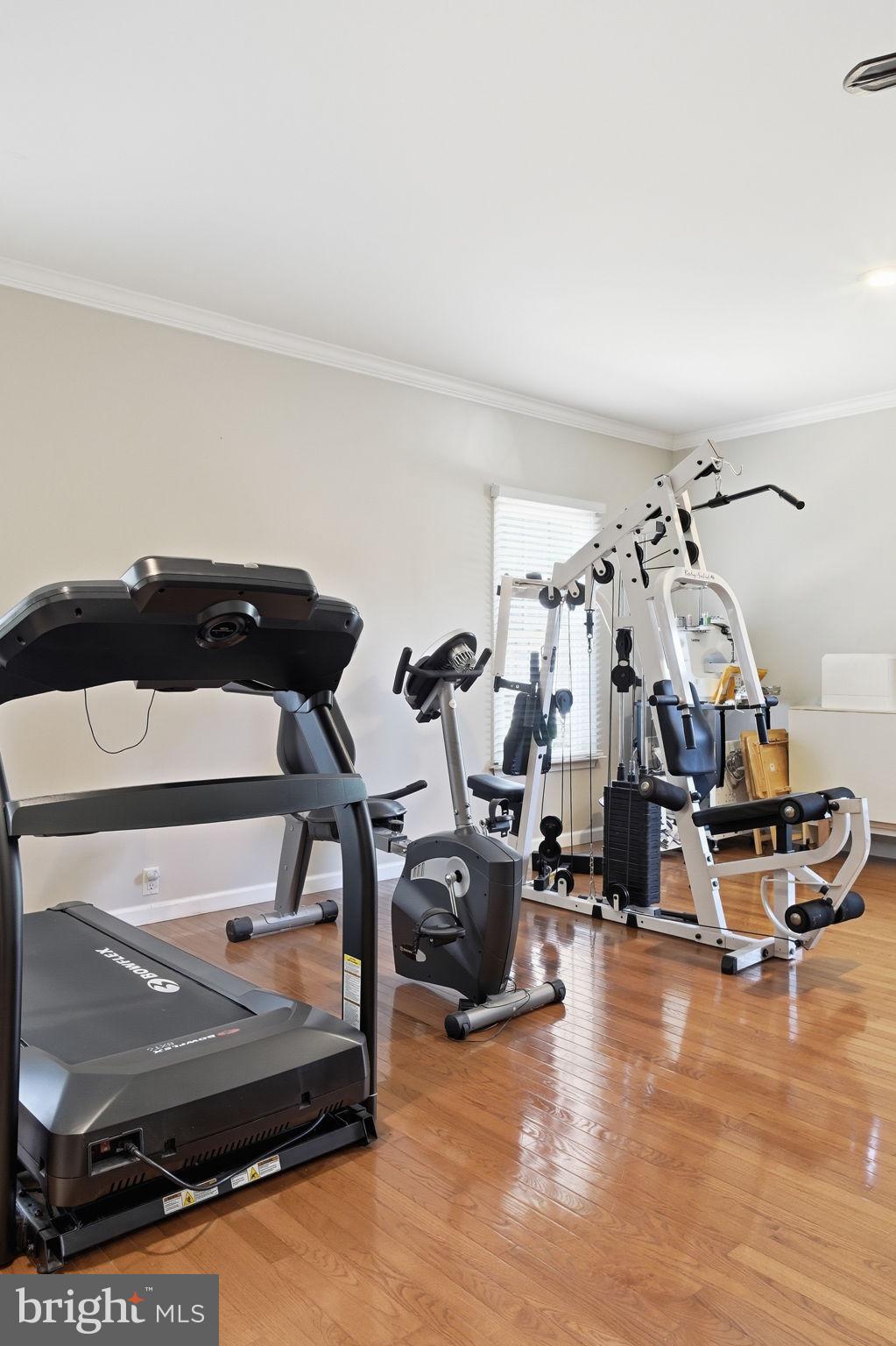 930 Spaniard Neck Road Centreville, MD 21617 - Photo 43 of 91 Home gym with modern equipment.