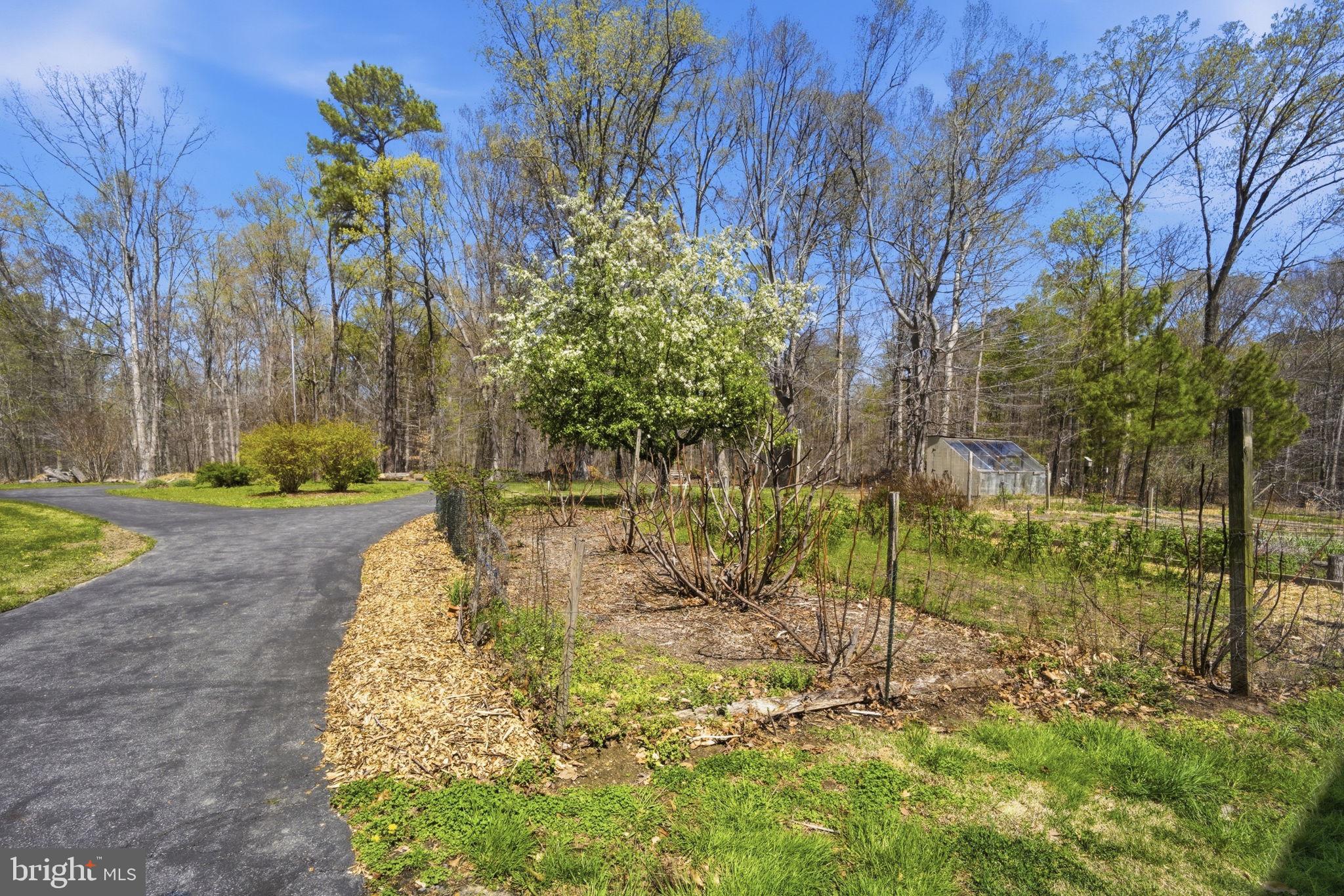 930 Spaniard Neck Road Centreville, MD 21617 - Photo 48 of 91 Serene garden path in springtime.