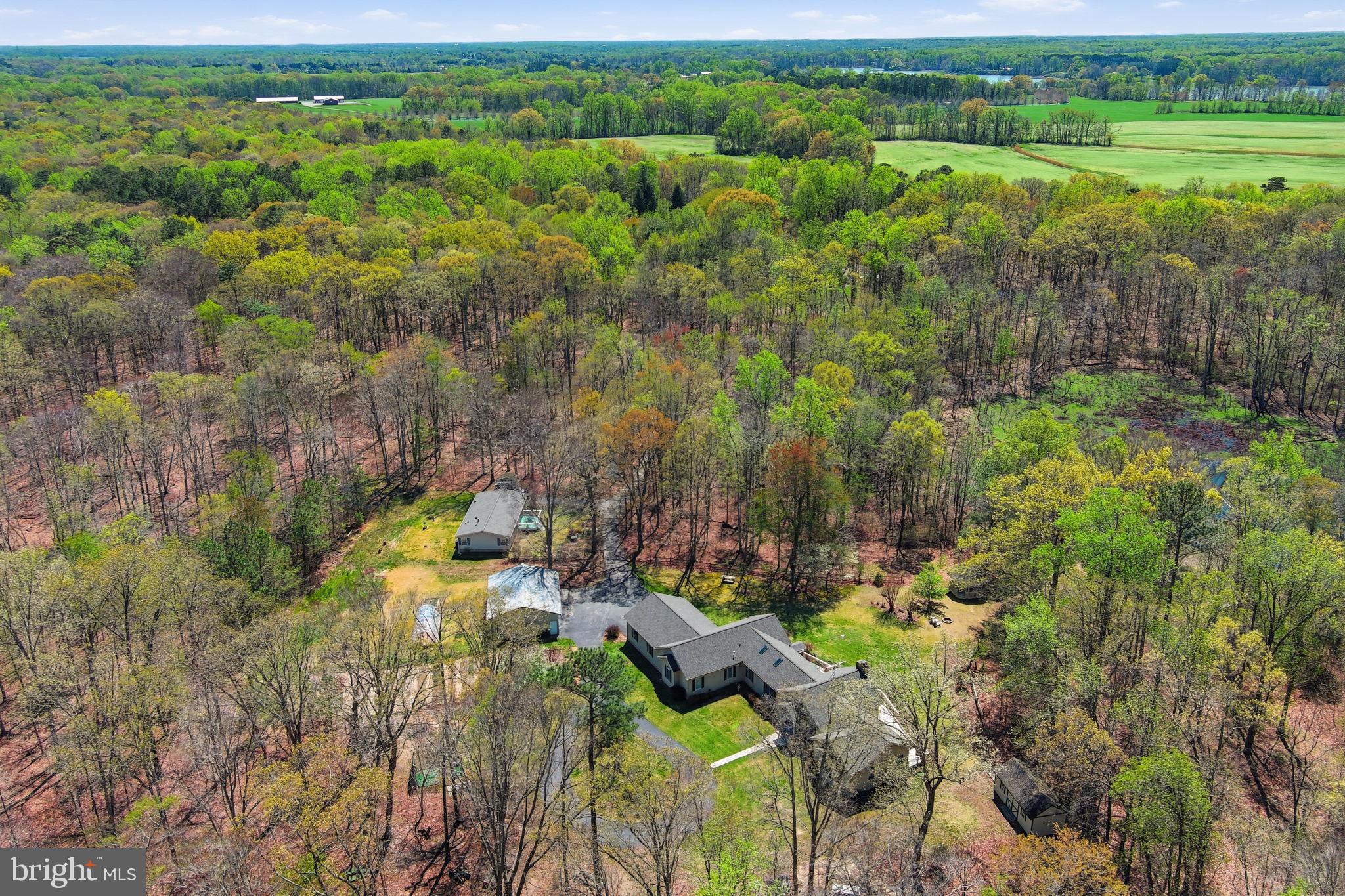 930 Spaniard Neck Road Centreville, MD 21617 - Photo 5 of 91 Serene retreat amid lush greenery.