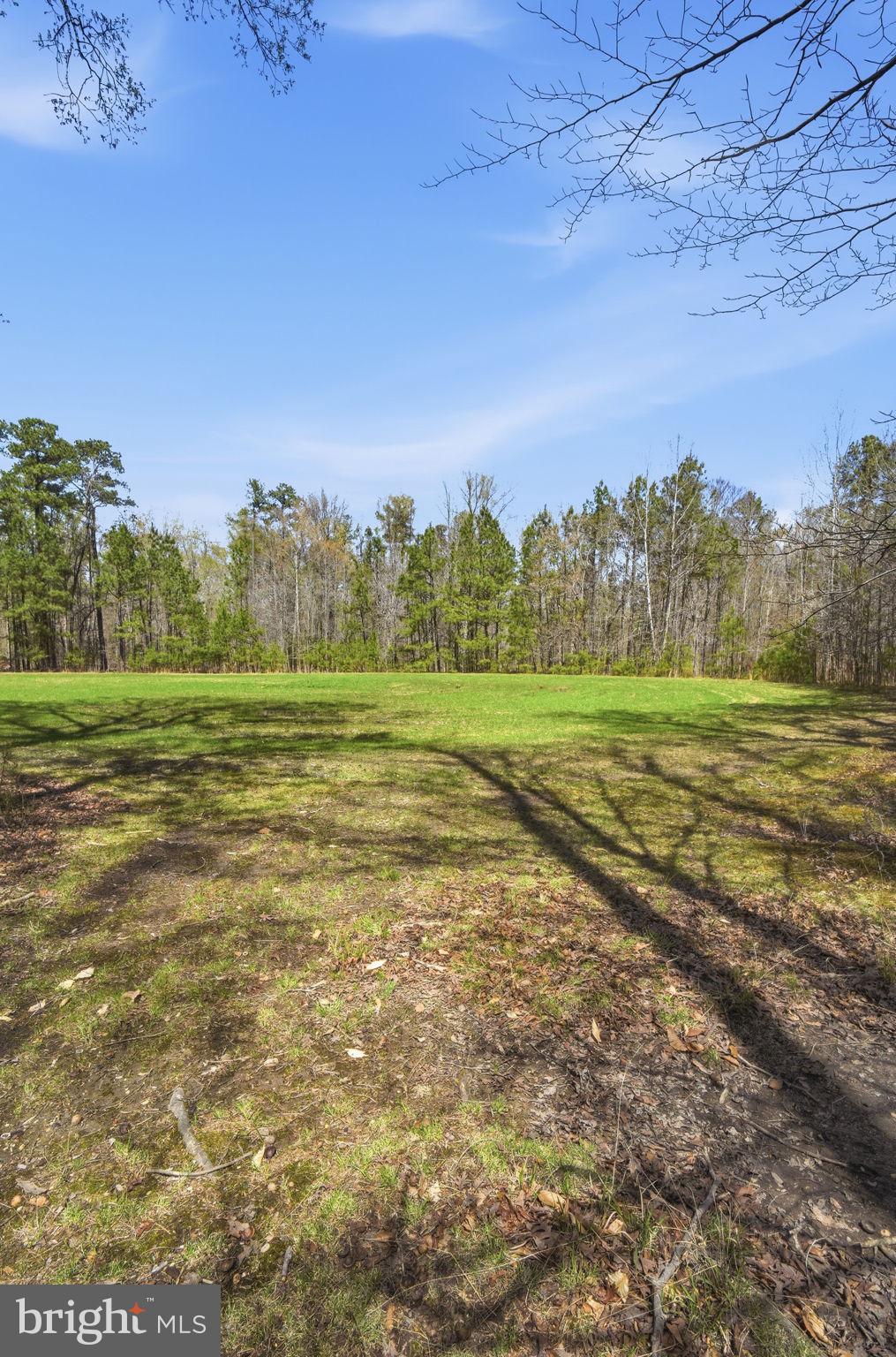 930 Spaniard Neck Road Centreville, MD 21617 - Photo 67 of 91 Serene green space meets tranquil woods.