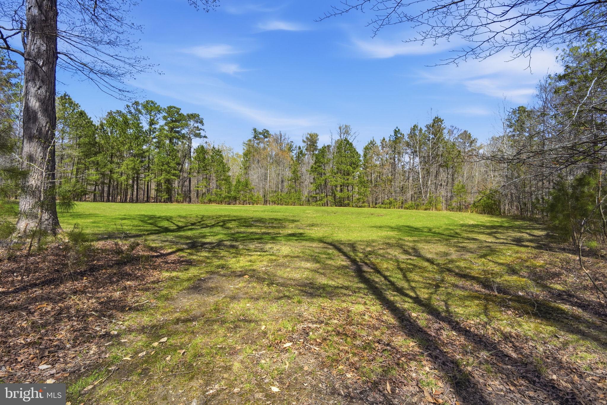 930 Spaniard Neck Road Centreville, MD 21617 - Photo 68 of 91 Serene green expanse under blue skies.