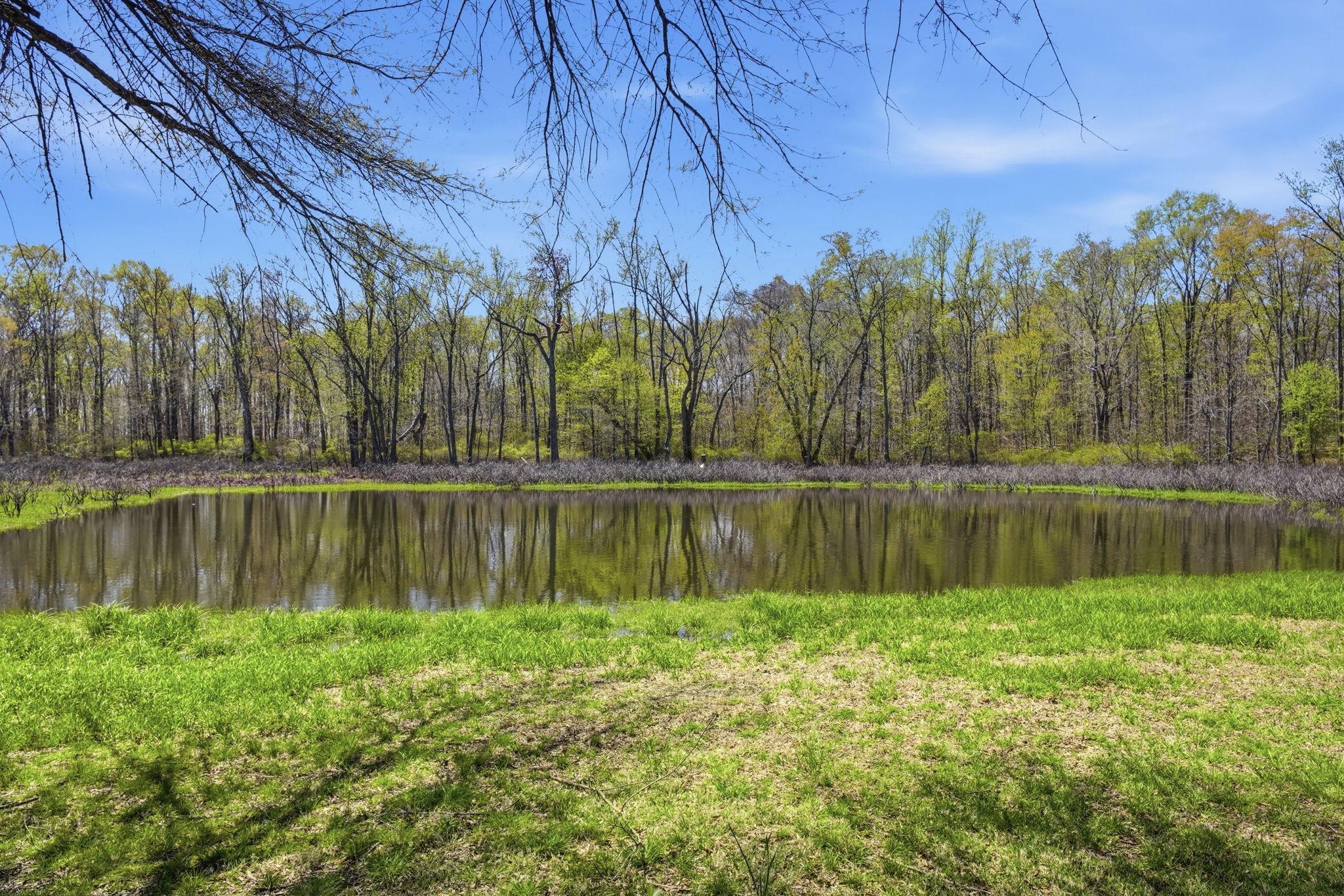 930 Spaniard Neck Road Centreville, MD 21617 - Photo 70 of 91 Tranquil Pond reflects lush greenery.