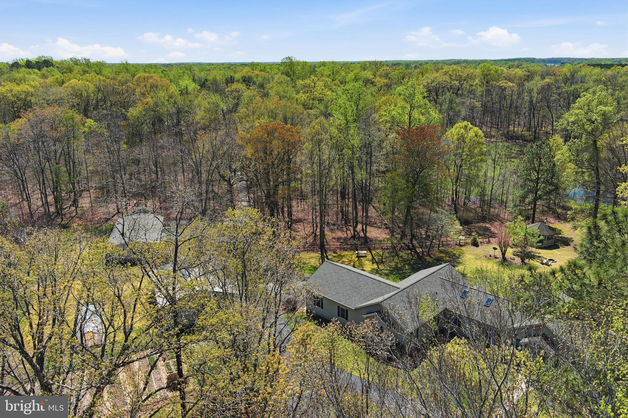 930 Spaniard Neck Road Centreville, MD 21617 - Photo 7 of 91 Serene retreat amidst lush greenery.