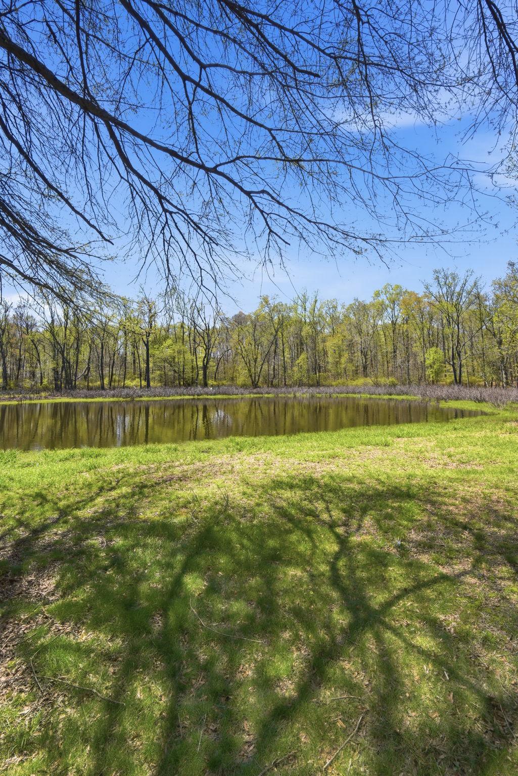 930 Spaniard Neck Road Centreville, MD 21617 - Photo 71 of 91 Tranquil Pond reflects nature's beauty.