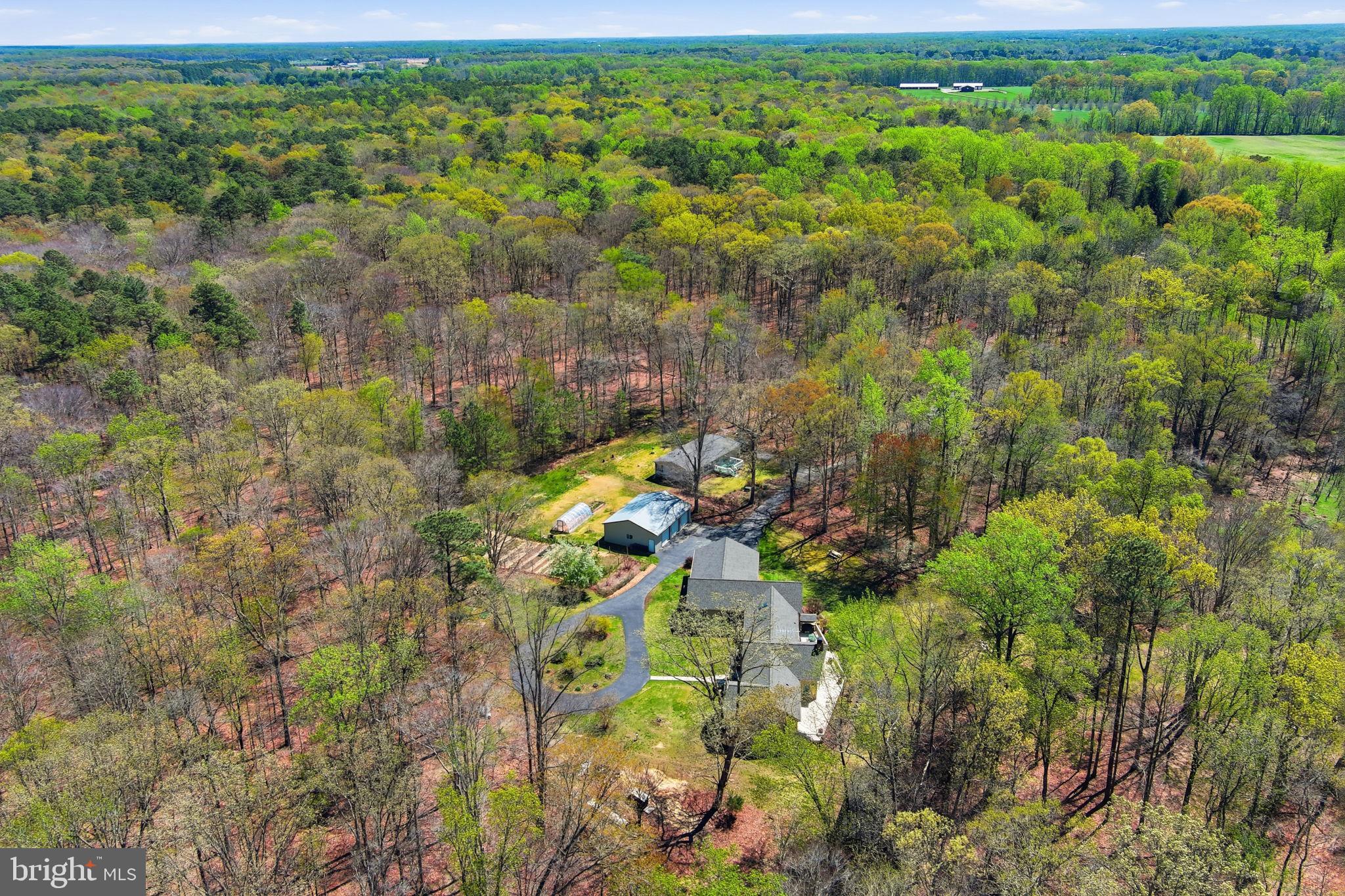 930 Spaniard Neck Road Centreville, MD 21617 - Photo 8 of 91 Serene retreat amidst lush greenery.