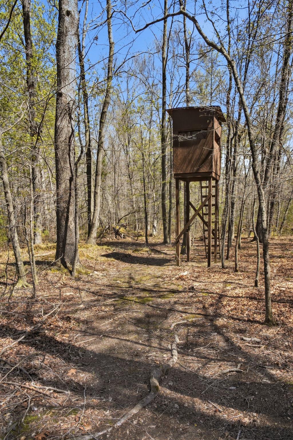 930 Spaniard Neck Road Centreville, MD 21617 - Photo 84 of 91 Hunting Blind overlooking Private Food plot