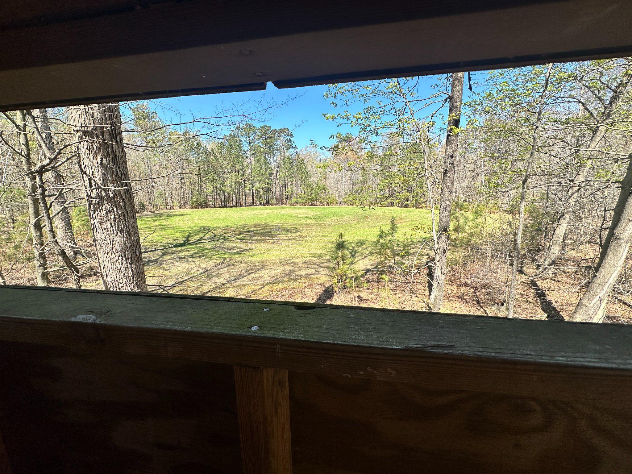 930 Spaniard Neck Road Centreville, MD 21617 - Photo 86 of 91 Private Food Plot (Honey Hole) View from Blind