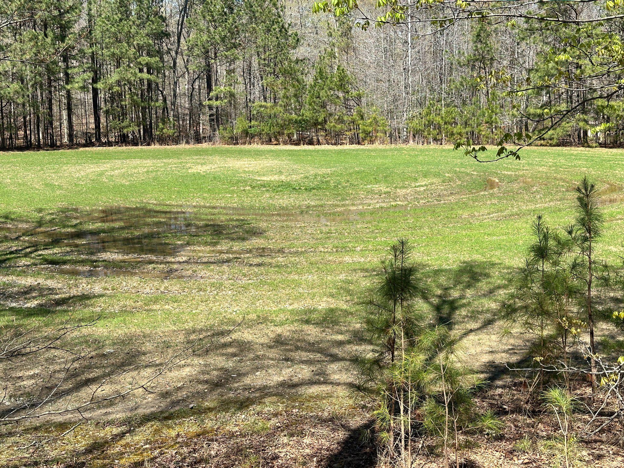 930 Spaniard Neck Road Centreville, MD 21617 - Photo 87 of 91 Private Food Plot (Honey Hole)
