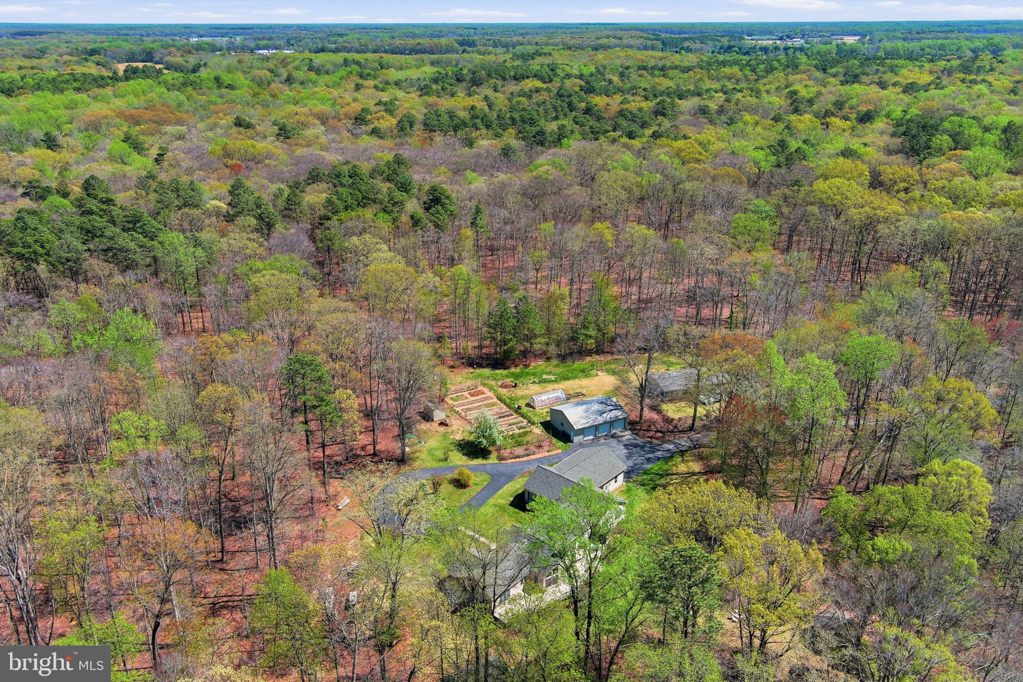 930 Spaniard Neck Road Centreville, MD 21617 - Photo 9 of 91 Secluded retreat amidst lush greenery.