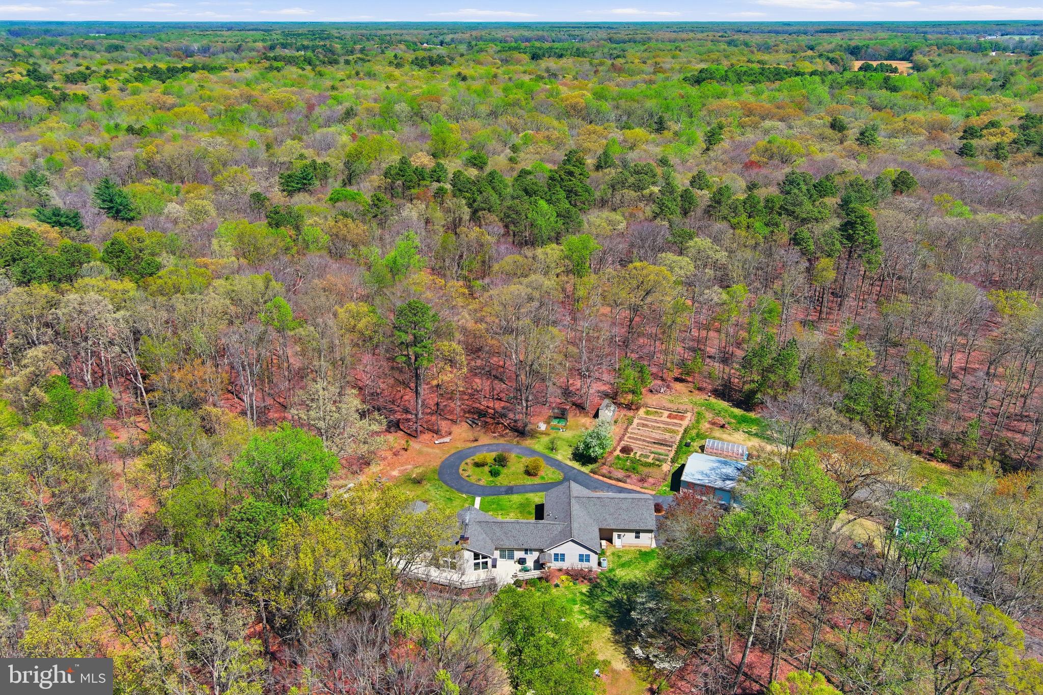 930 Spaniard Neck Road Centreville, MD 21617 - Photo 10 of 91 Serene retreat amidst lush greenery.