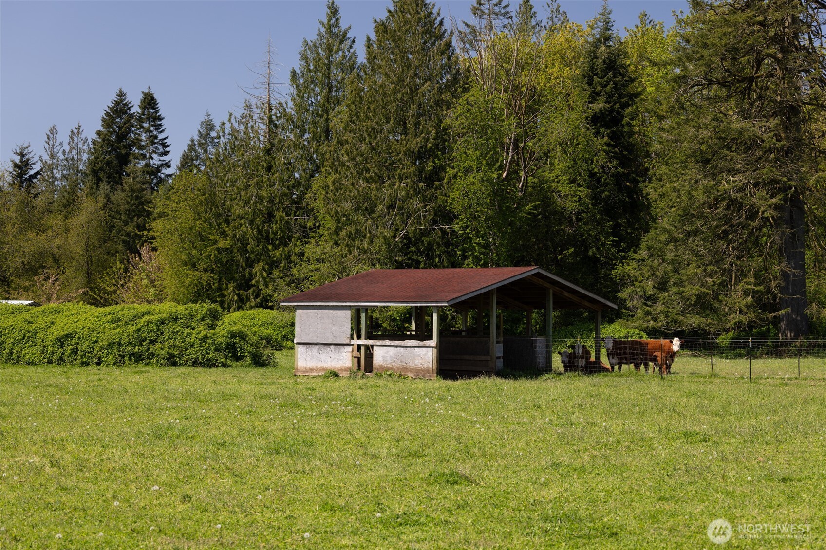 0 Gore Road Onalaska, WA 98570 - Photo 5 of 6 a front view of a house with garden