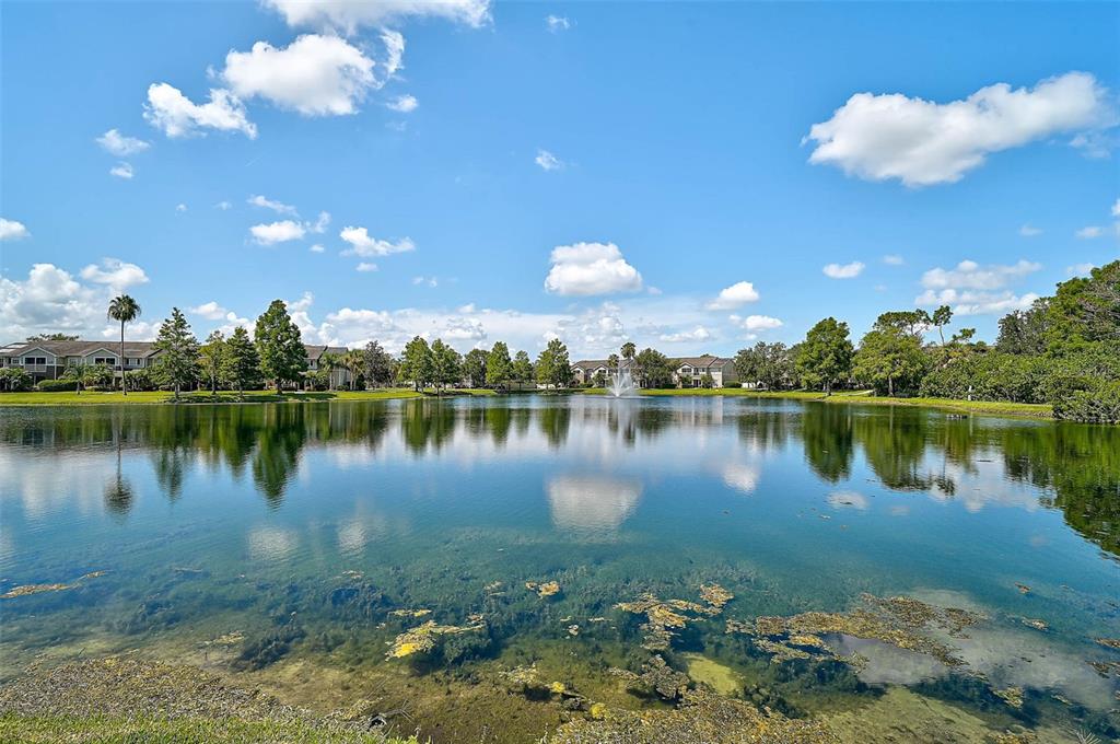 8827 Manor Loop, Unit 204 Lakewood Ranch, FL 34202 - Photo 24 of 31 a view of a lake