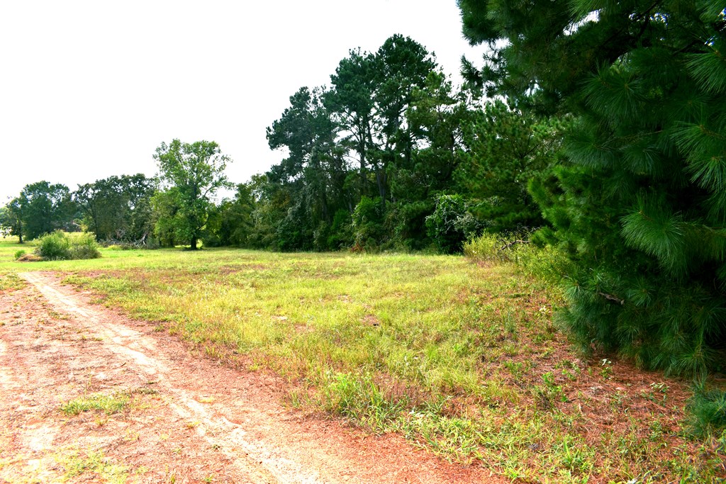 0 Happy Acres Road Palestine, TX 75803 - Photo 2 of 15