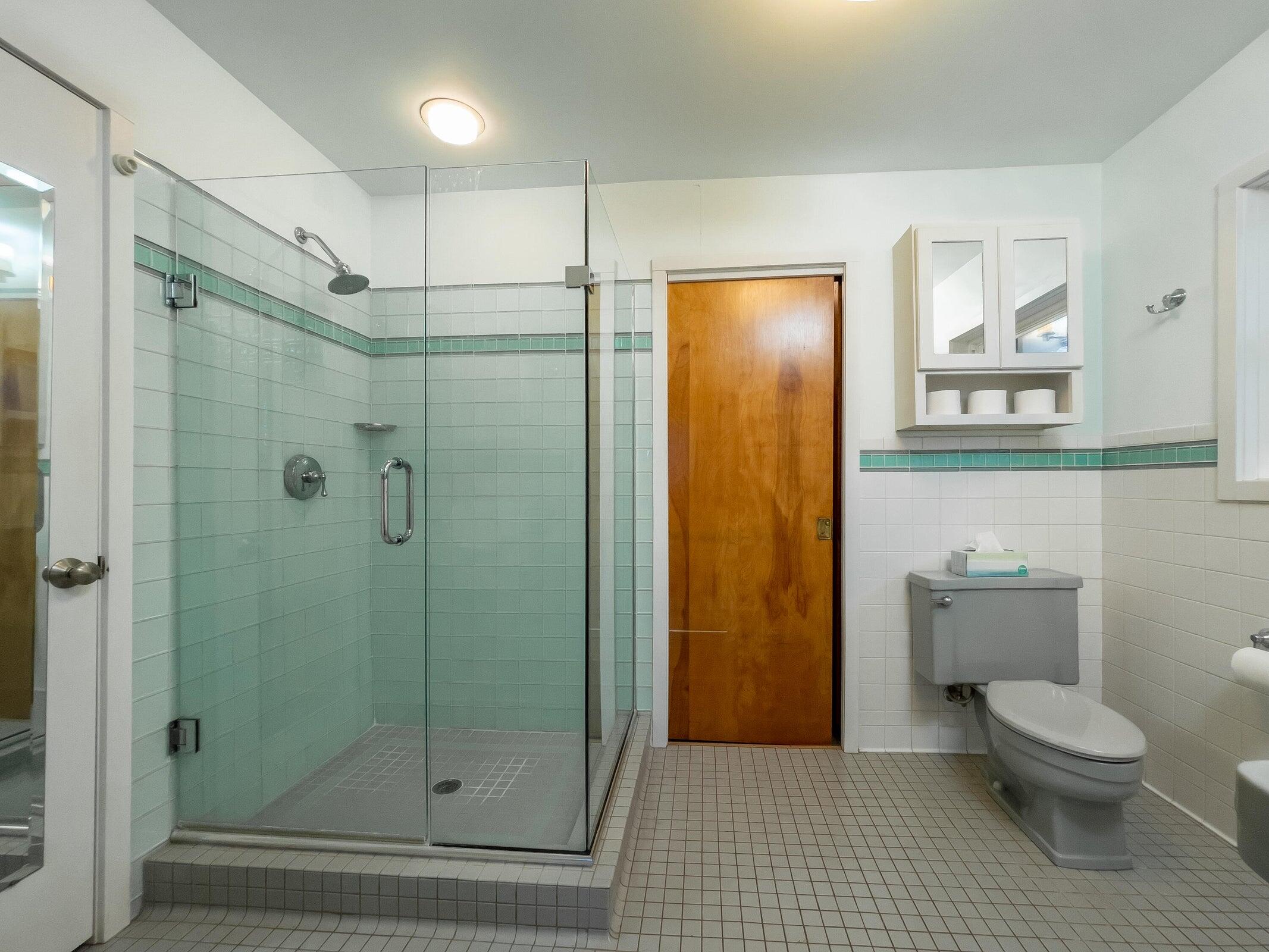 386 Fredericksburg Road Lexington, VA 24450 - Photo 27 of 72 a bathroom with a toilet and a shower
