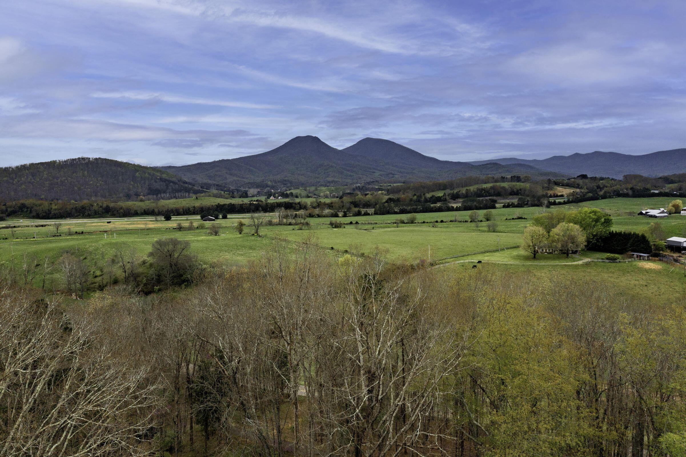 386 Fredericksburg Road Lexington, VA 24450 - Photo 3 of 72 3 386 Fredericksburg Road