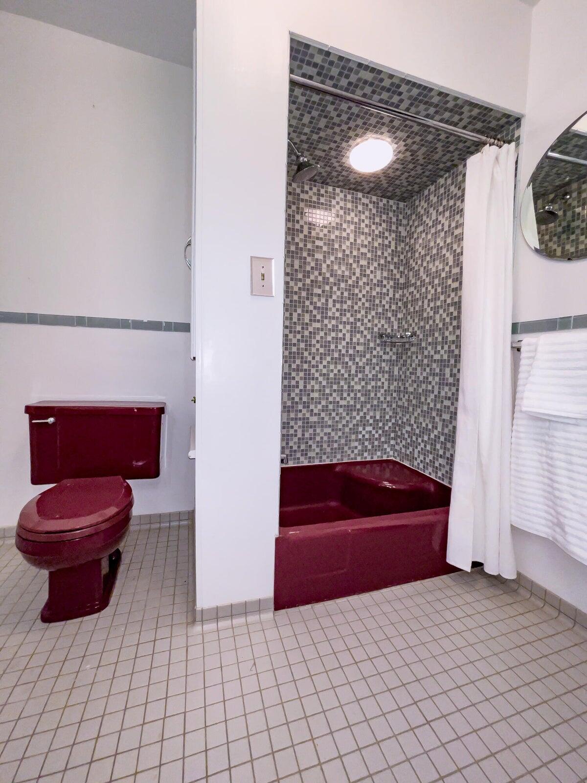 386 Fredericksburg Road Lexington, VA 24450 - Photo 33 of 72 a bathroom with a bathtub and a toilet