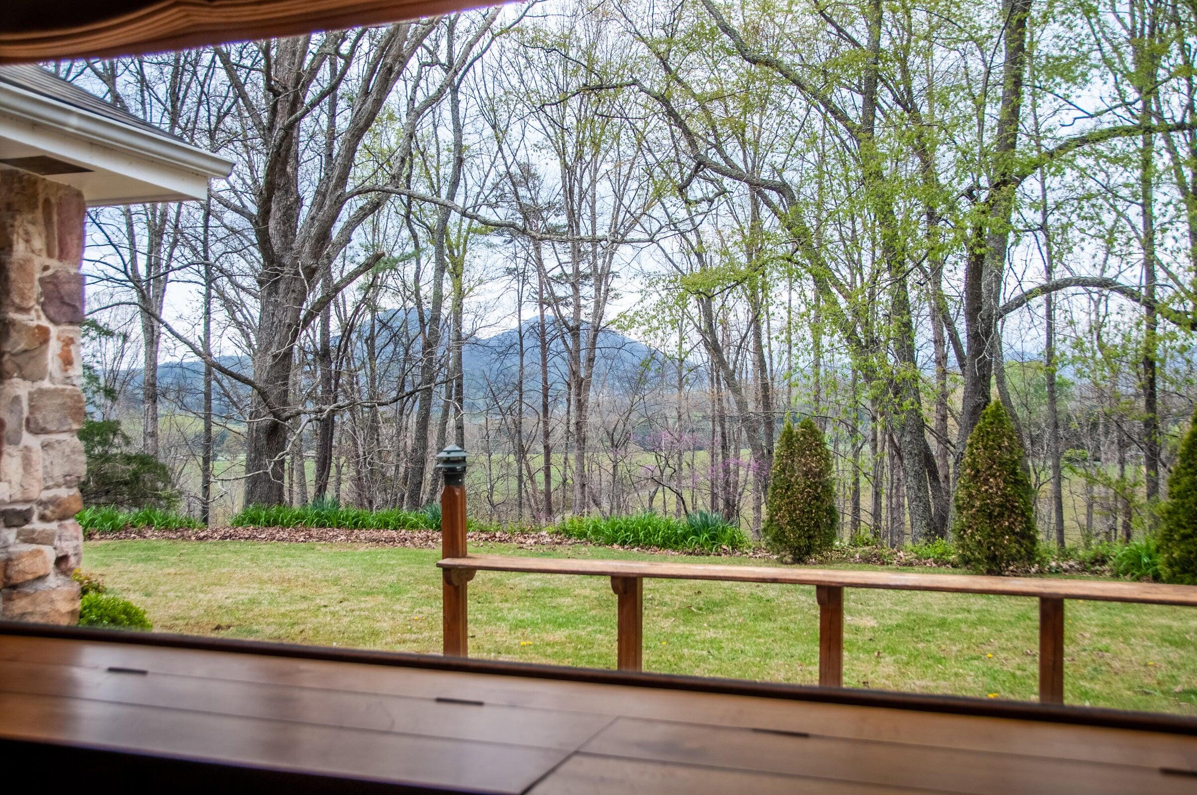 386 Fredericksburg Road Lexington, VA 24450 - Photo 55 of 72 a view of backyard with tree and green space