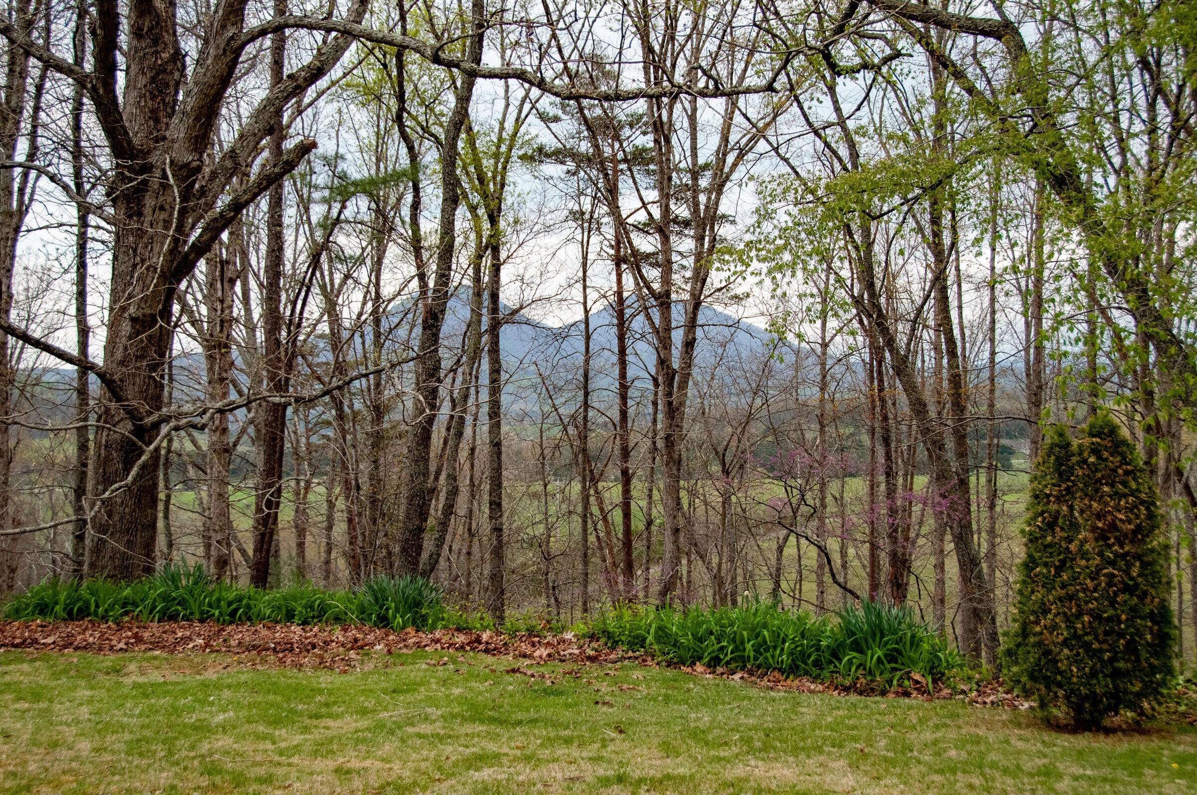 386 Fredericksburg Road Lexington, VA 24450 - Photo 56 of 72 a view of a backyard