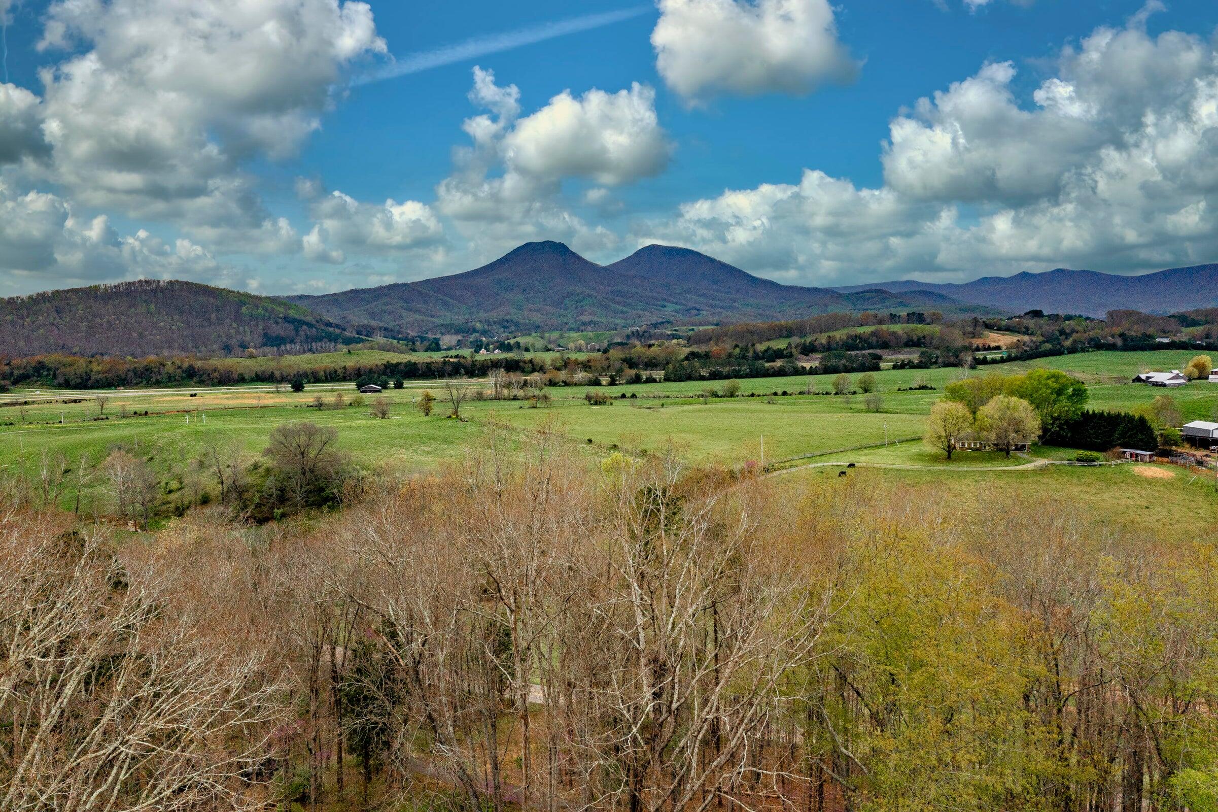 386 Fredericksburg Road Lexington, VA 24450 - Photo 58 of 72 a view of a lake with a mountain in the background