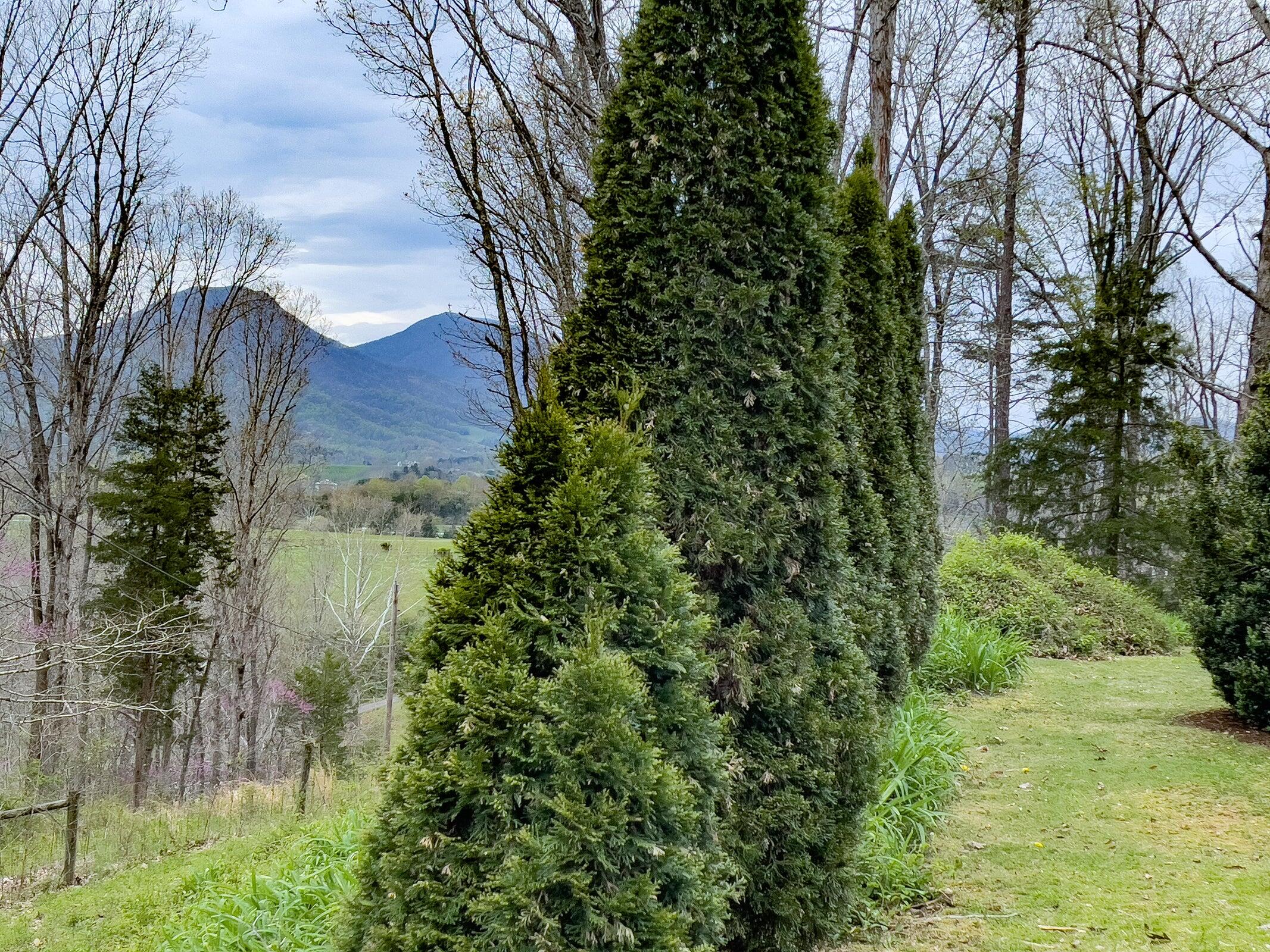 386 Fredericksburg Road Lexington, VA 24450 - Photo 60 of 72 60 386 Fredericksburg