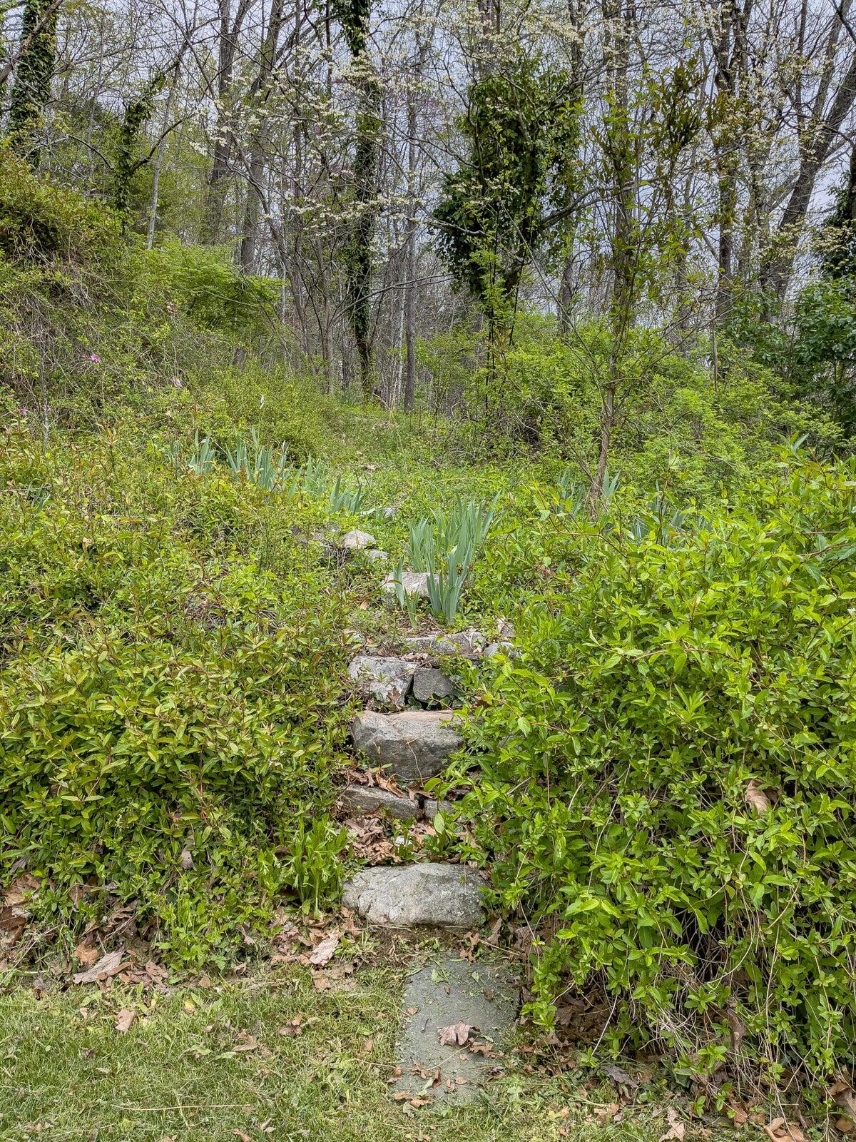 386 Fredericksburg Road Lexington, VA 24450 - Photo 63 of 72 a view of a garden