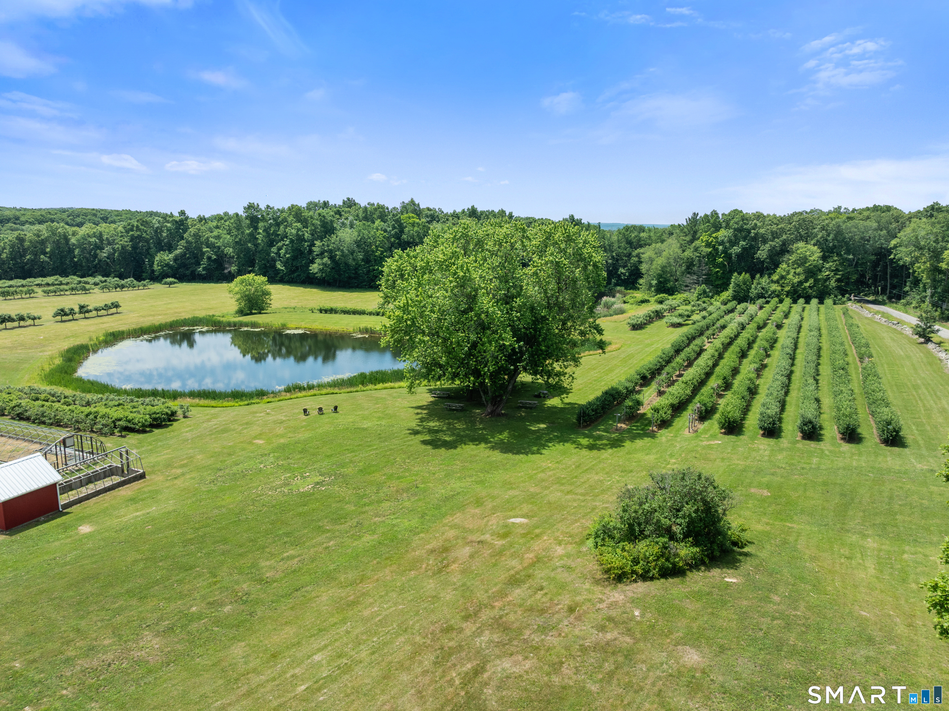 317 Bebbington Road Ashford, CT 06278 - Photo 12 of 40