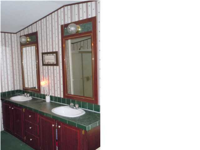 246 Long Road DeFuniak Springs, FL 32433 - Photo 9 of 19 a bathroom with a sink and a mirror