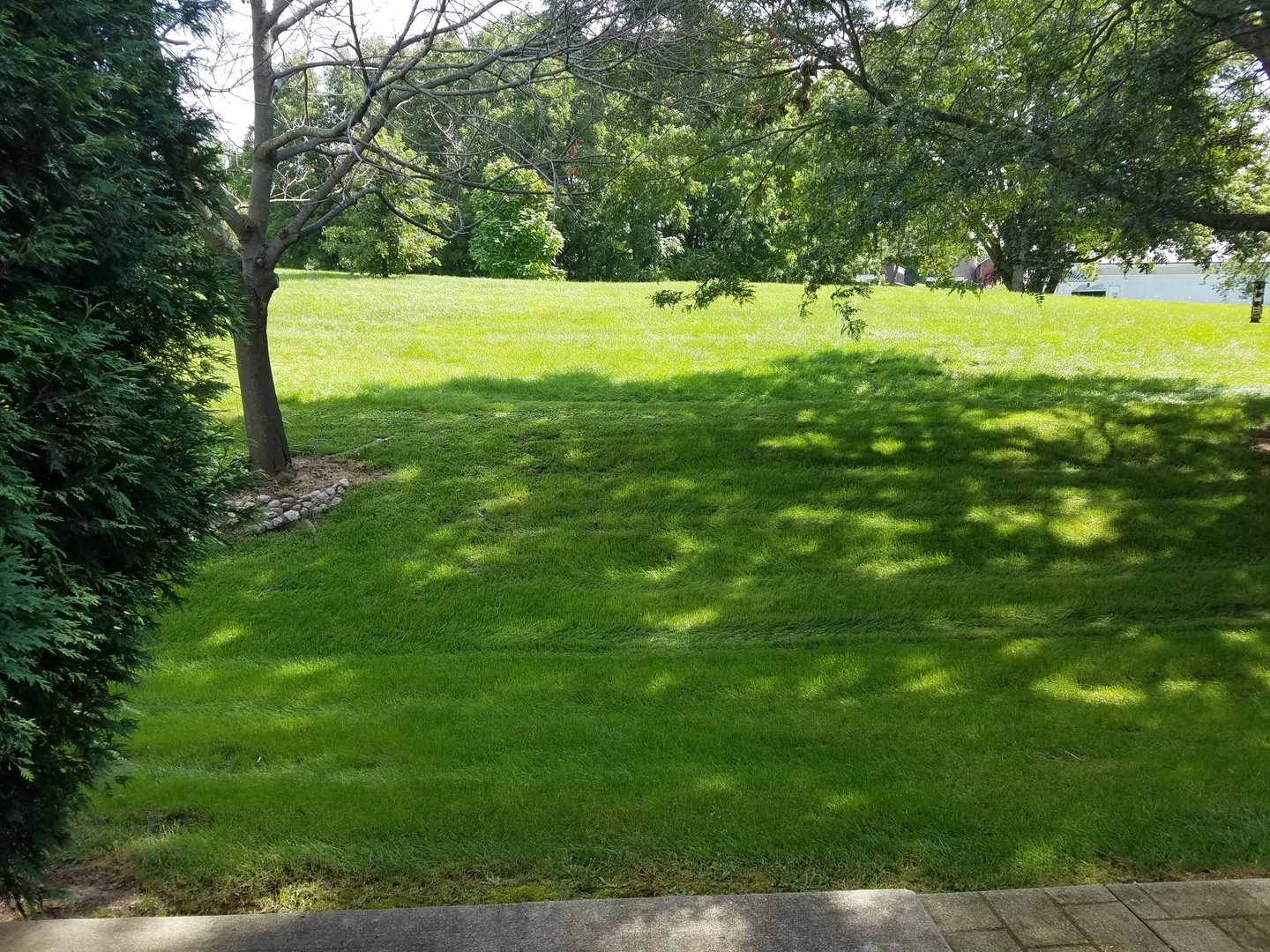 1024 Horizon Ridge Lake In The Hills, IL 60156 - Photo 21 of 21
