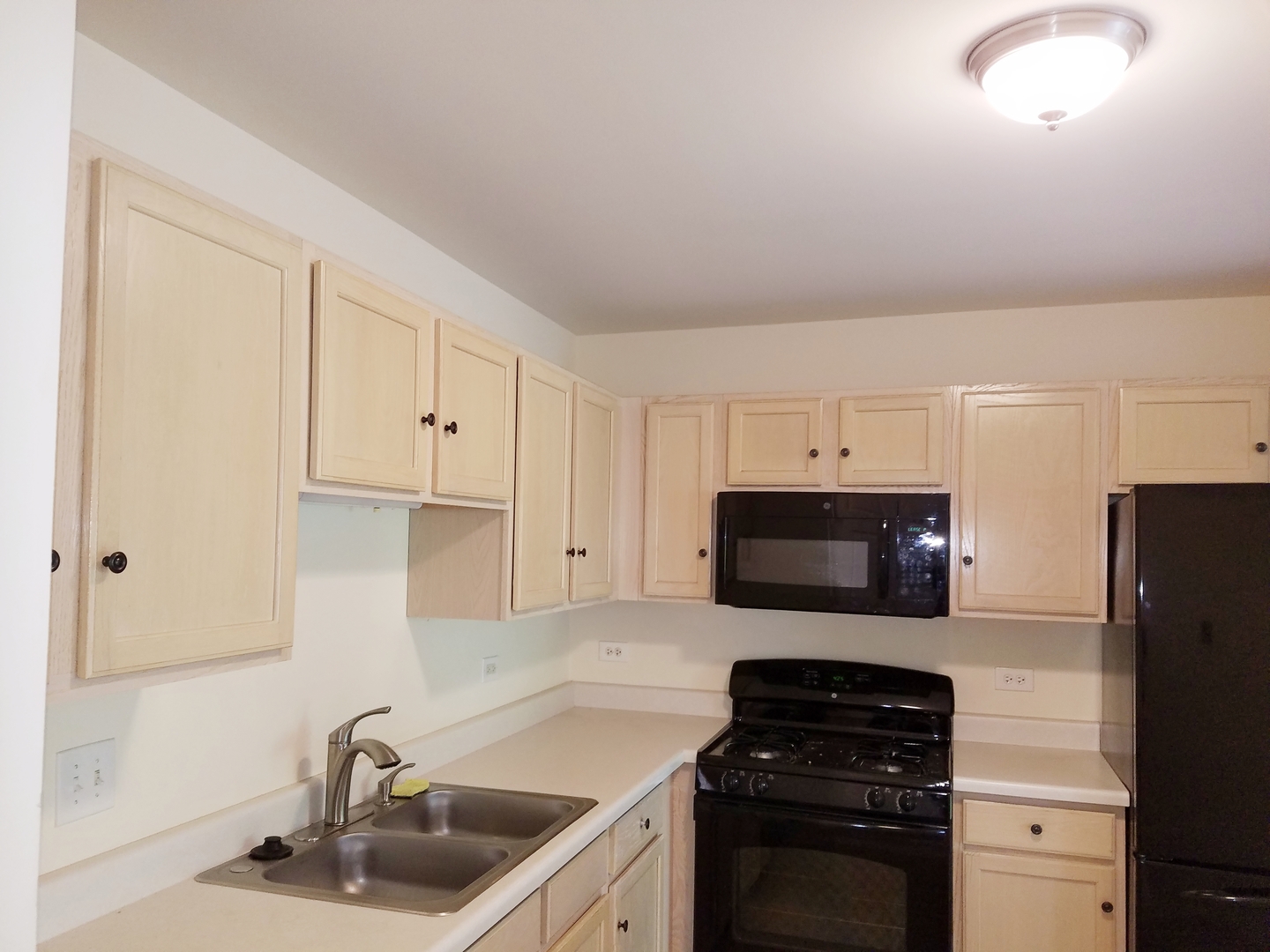 1024 Horizon Ridge Lake In The Hills, IL 60156 - Photo 7 of 21