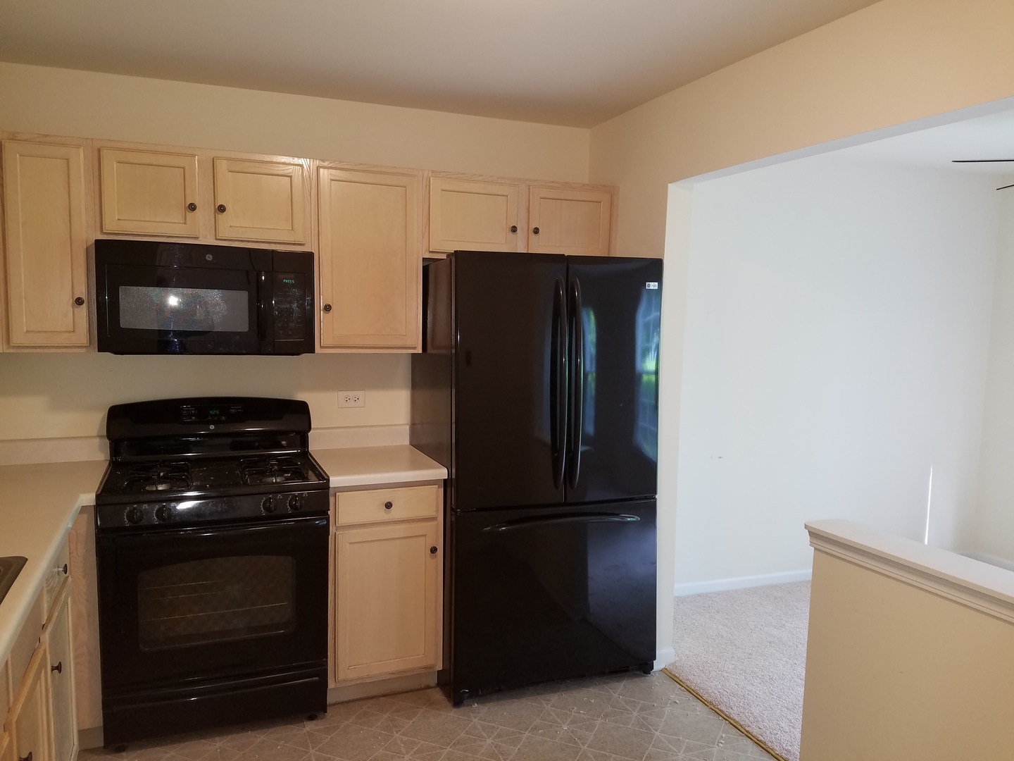 1024 Horizon Ridge Lake In The Hills, IL 60156 - Photo 8 of 21