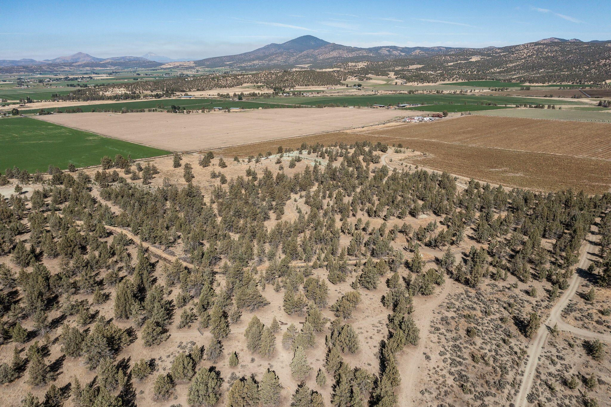5598 North Mckay Road Prineville, OR 97754 - Photo 25 of 81 IMG_5851