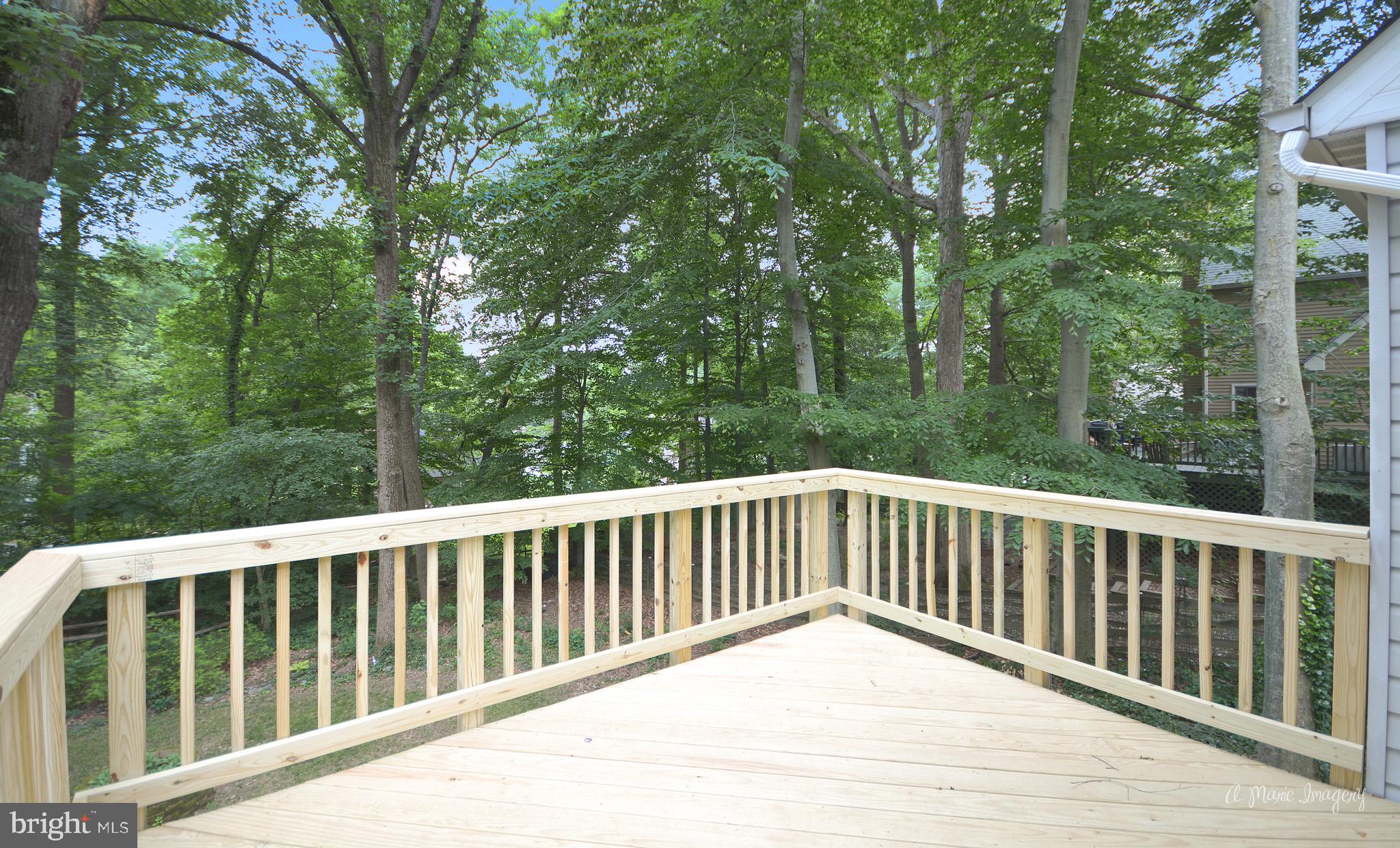 3811 Pippins Place Point of Rocks, MD 21777 - Photo 31 of 38