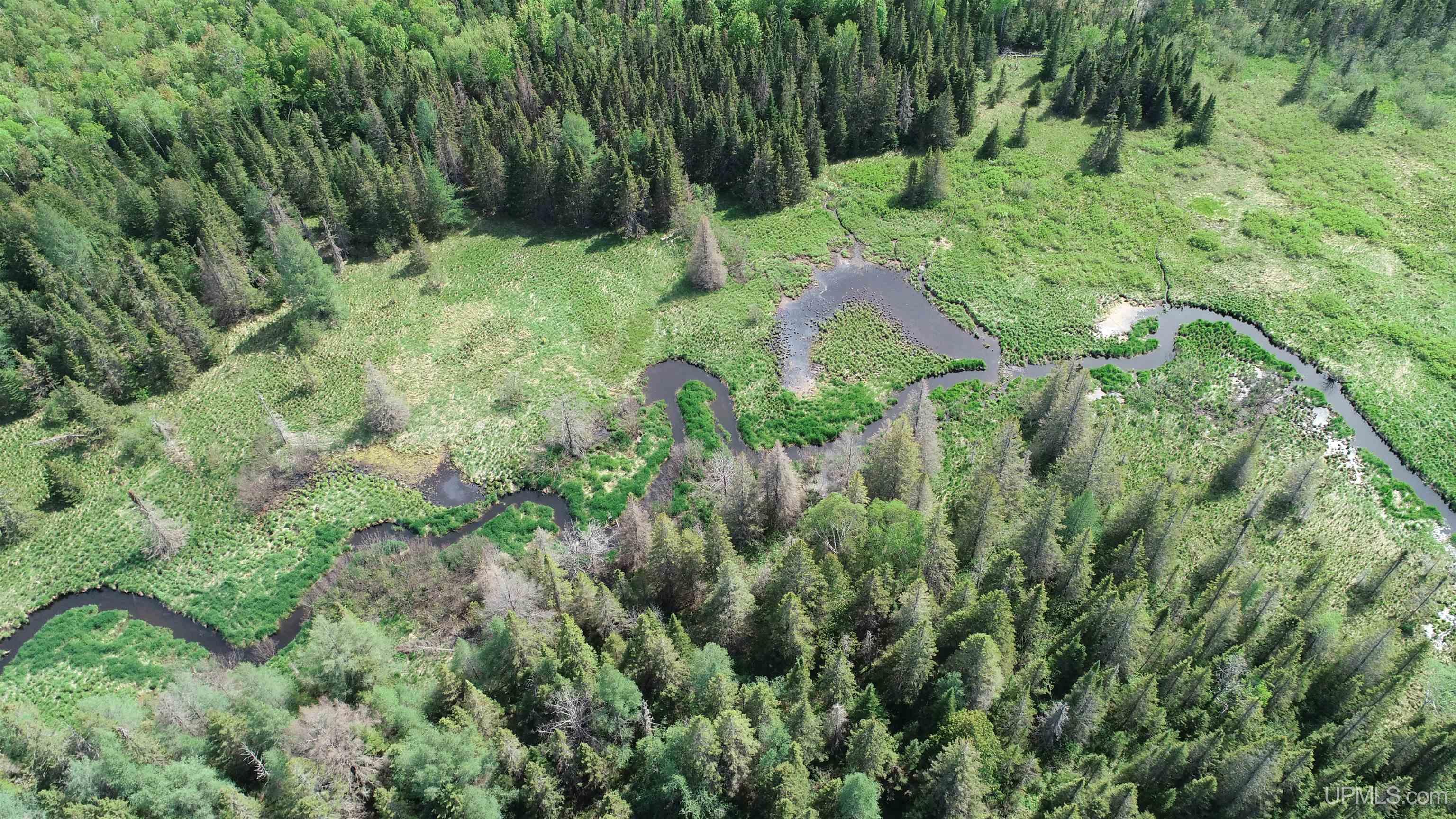 Tbd Tbd Banking Ground Road Germfask, MI 49836 - Photo 10 of 36
