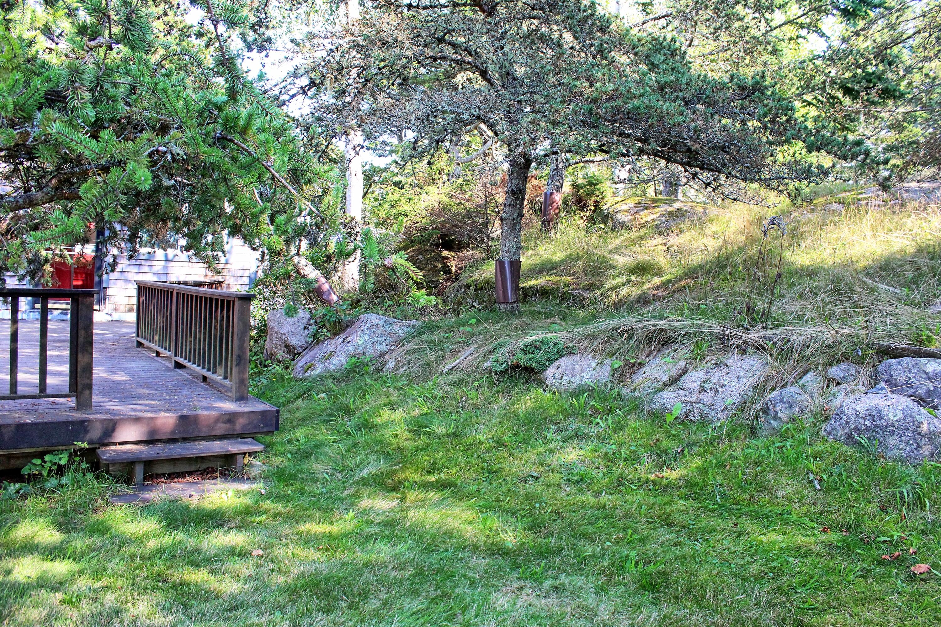 665 Corea Road Corea, ME 04624 - Photo 33 of 46 Back lawn