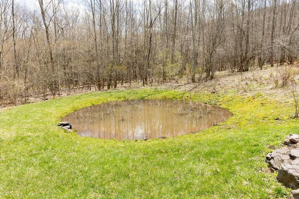 851 Lower Meeker Hollow Road Roxbury, NY 12474 - Photo 36 of 41