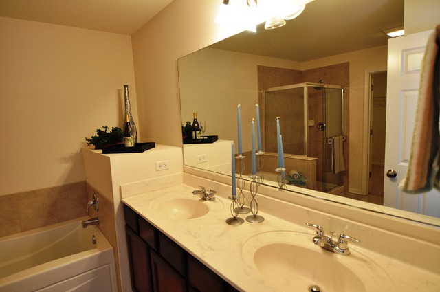 1038 Ravendale Court Naperville, IL 60540 - Photo 11 of 22
