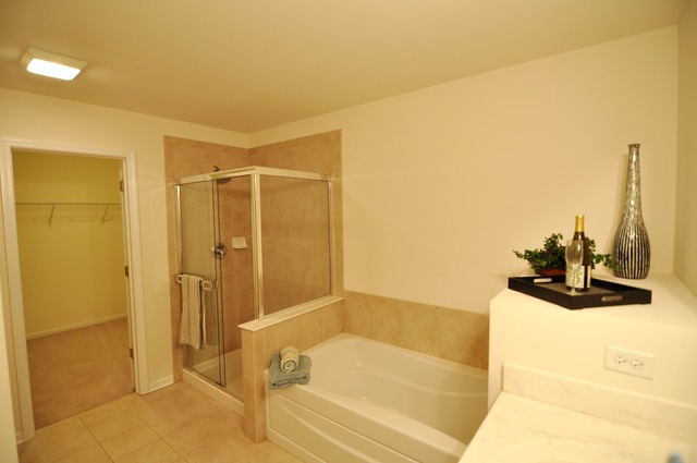 1038 Ravendale Court Naperville, IL 60540 - Photo 12 of 22