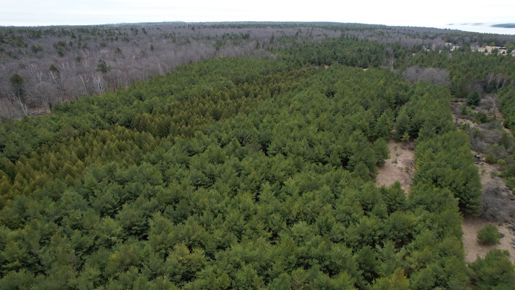 Lot 3 Birch Road Baileys Harbor, WI 54202 - Photo 2 of 7 Gallery Image 2